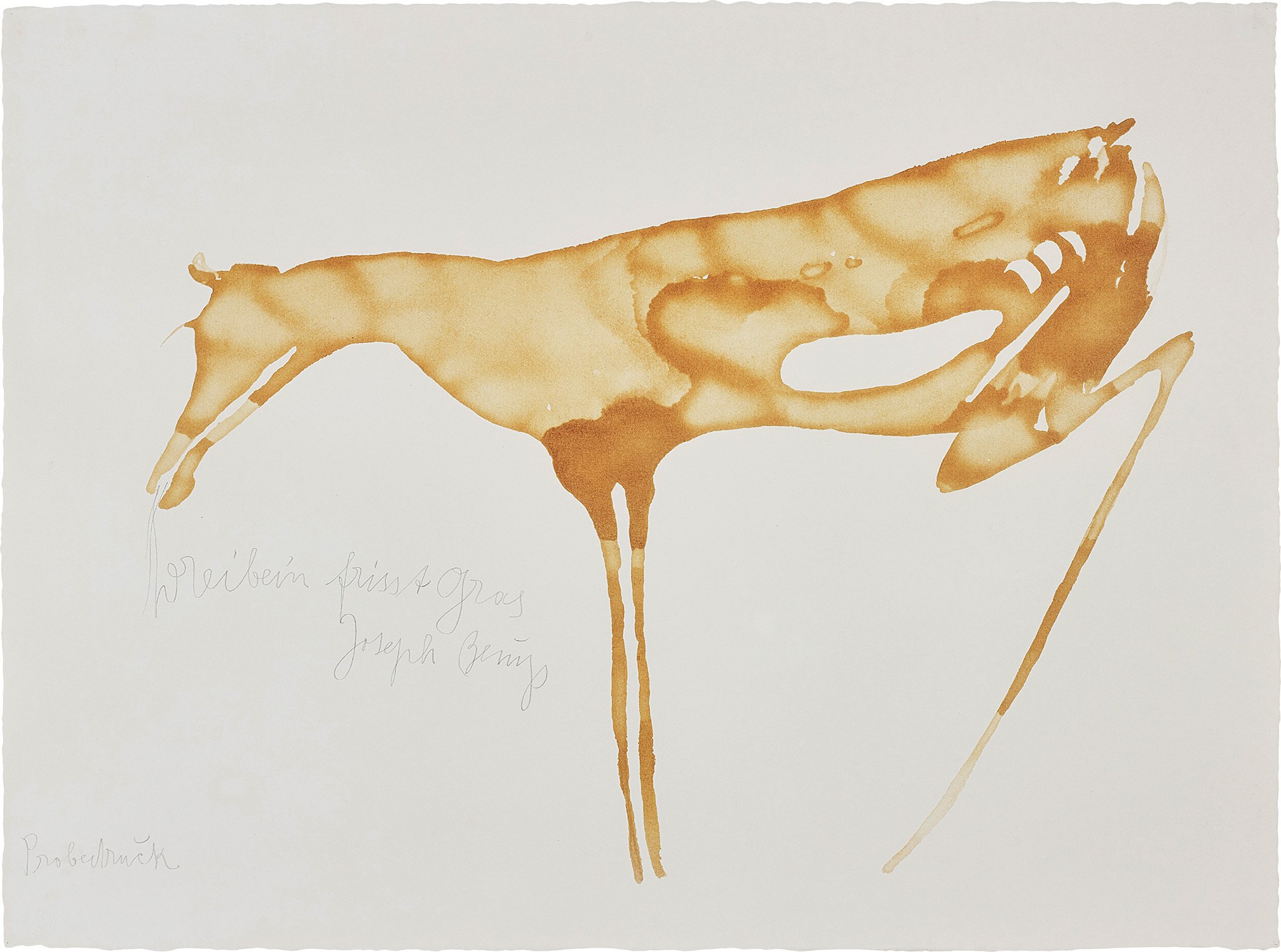 Joseph Beuys — Hind