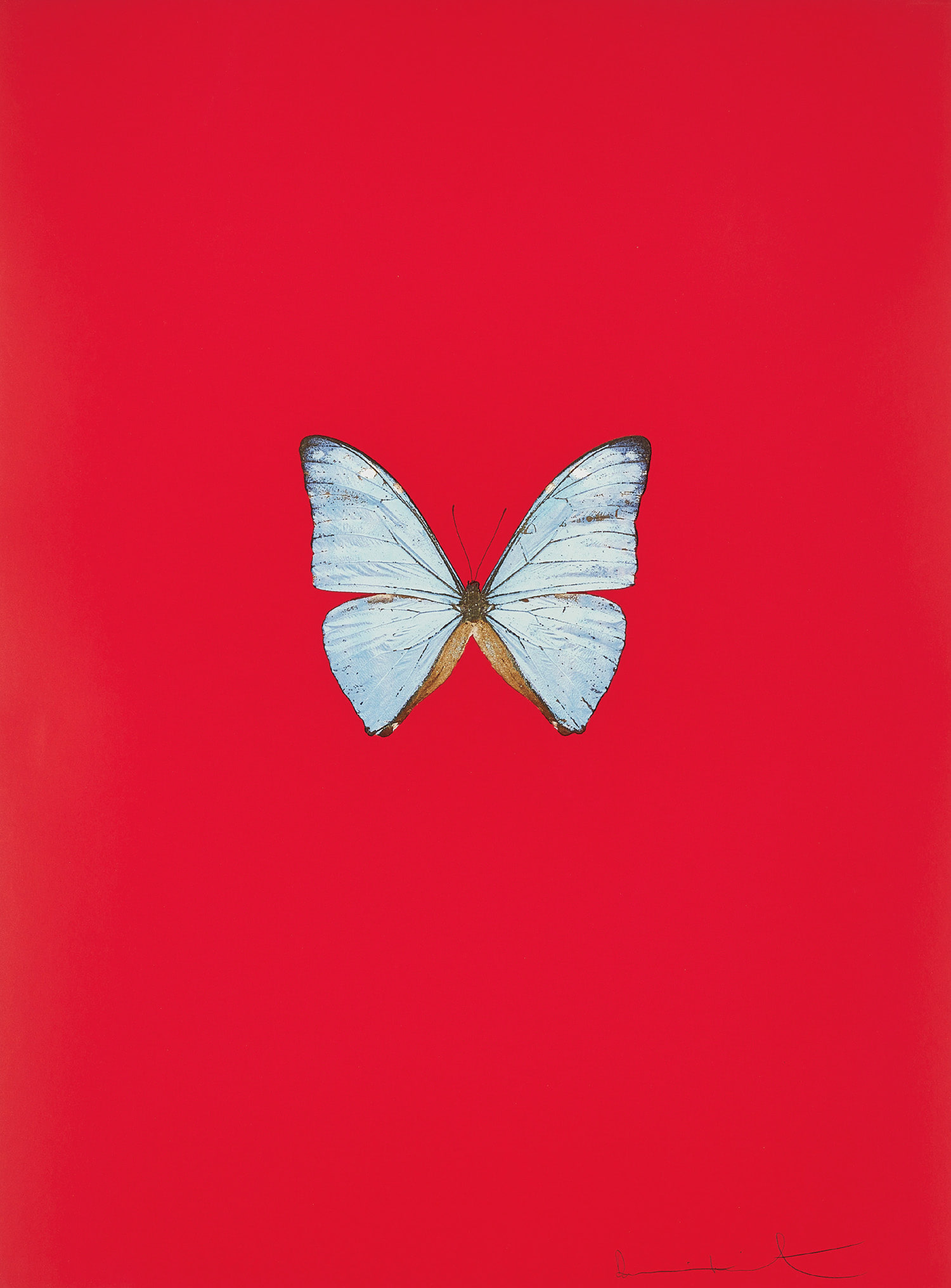 Damien Hirst — New Beginnings: one plate