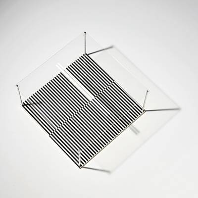 Permutación (Permutation), from Sotomagie