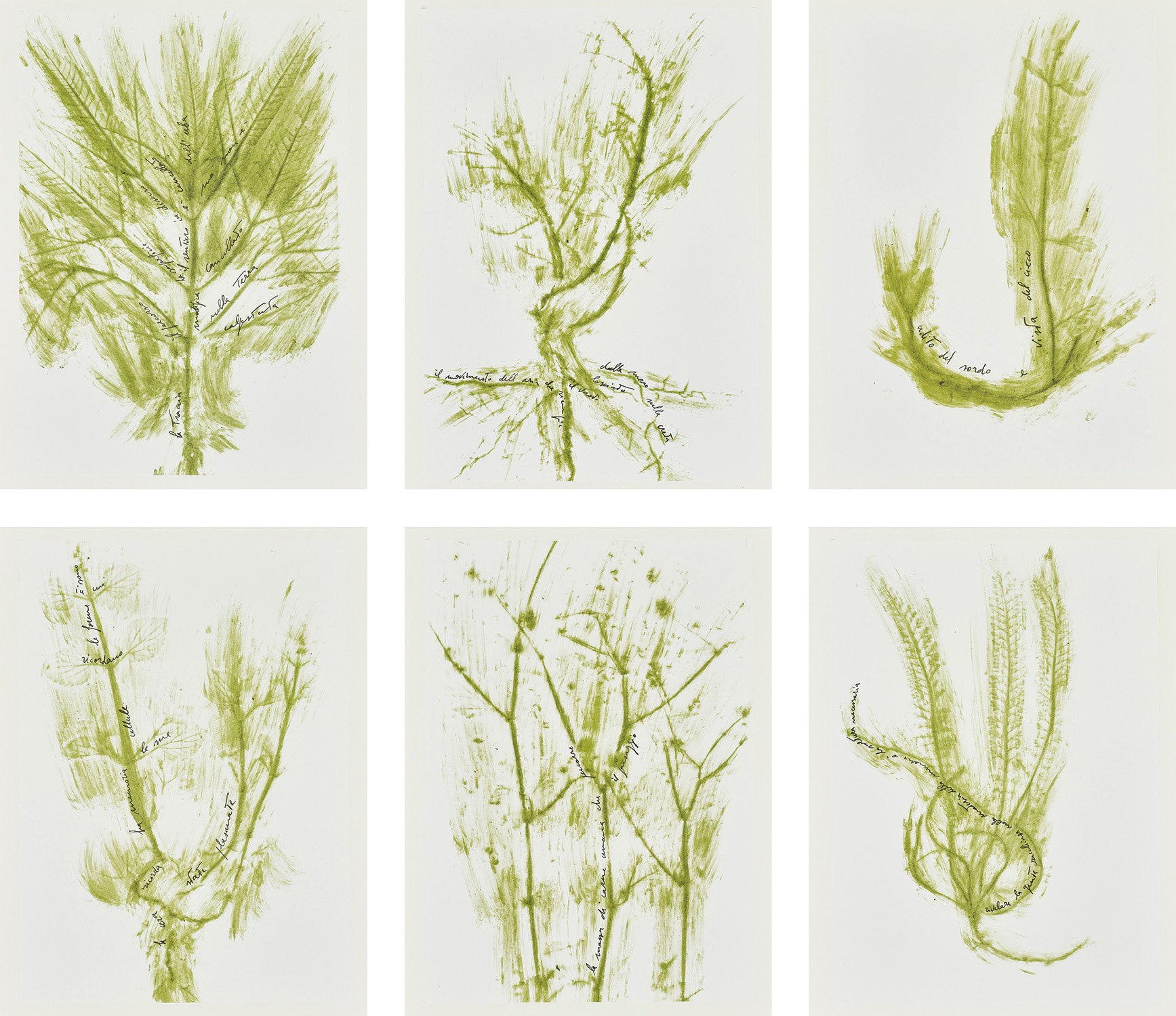 Giuseppe Penone — Trentatré Erbe (Thirty-three Herbs)