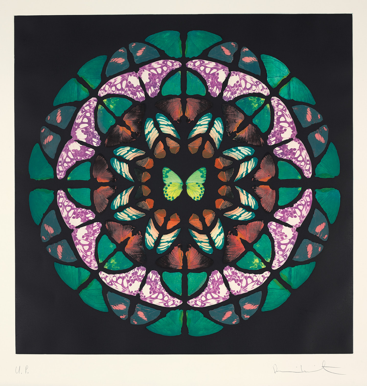 Damien Hirst — Sanctum (Unique)