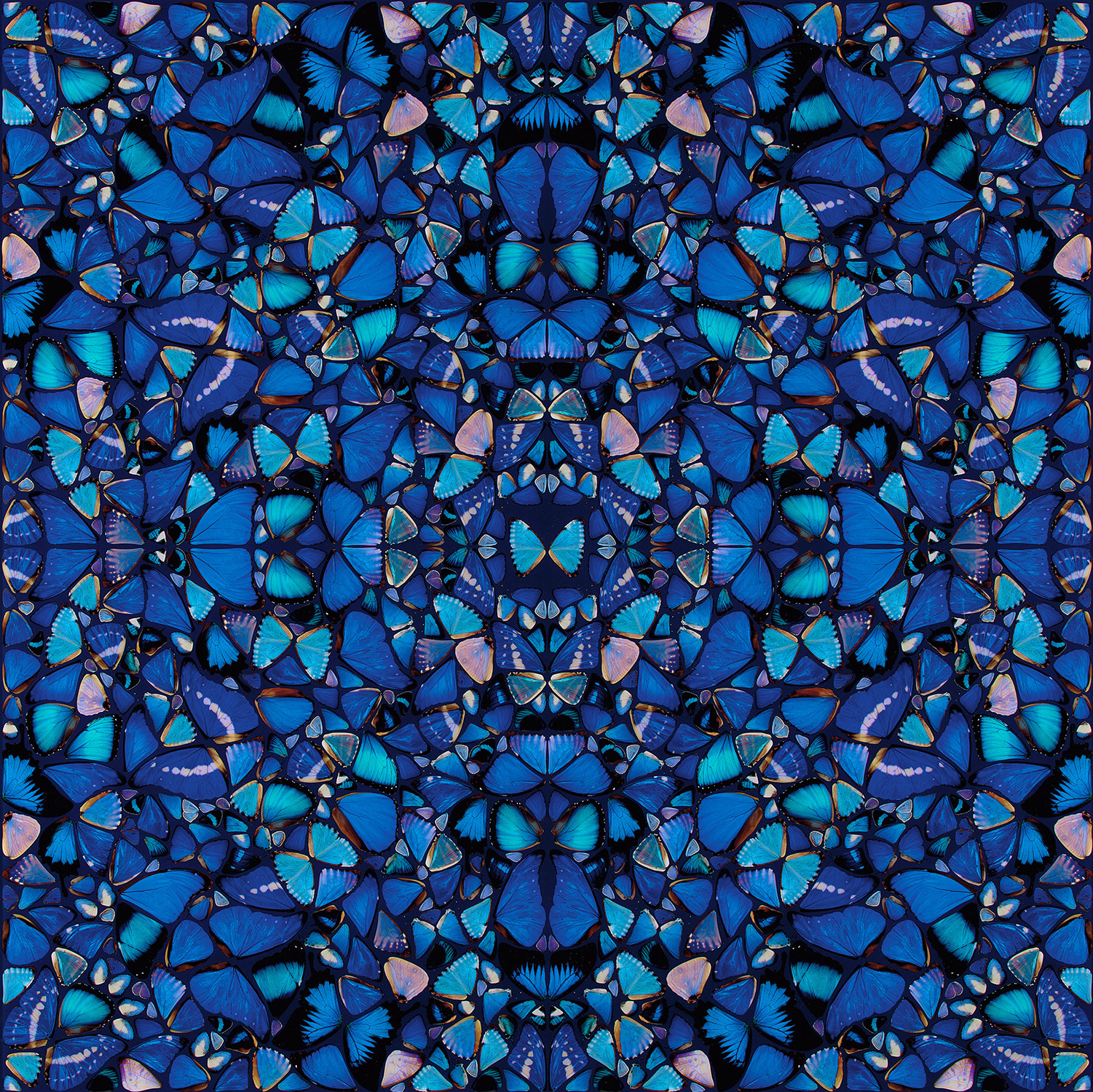 Damien Hirst — Grace, from The Aspects (H6-2)