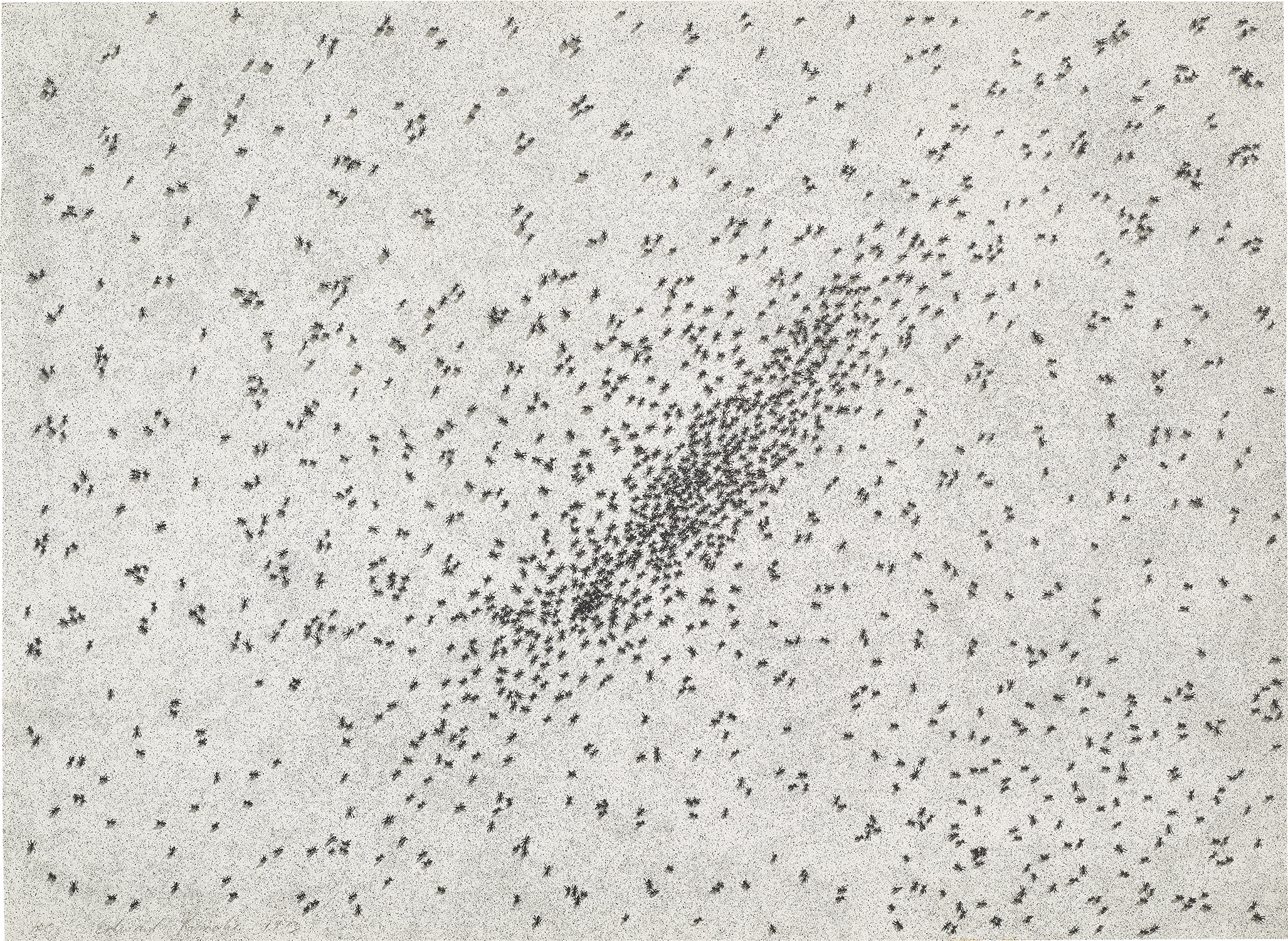 Ed Ruscha — Insect Slant (Ants), from Reality and Paradoxes (E. 69)