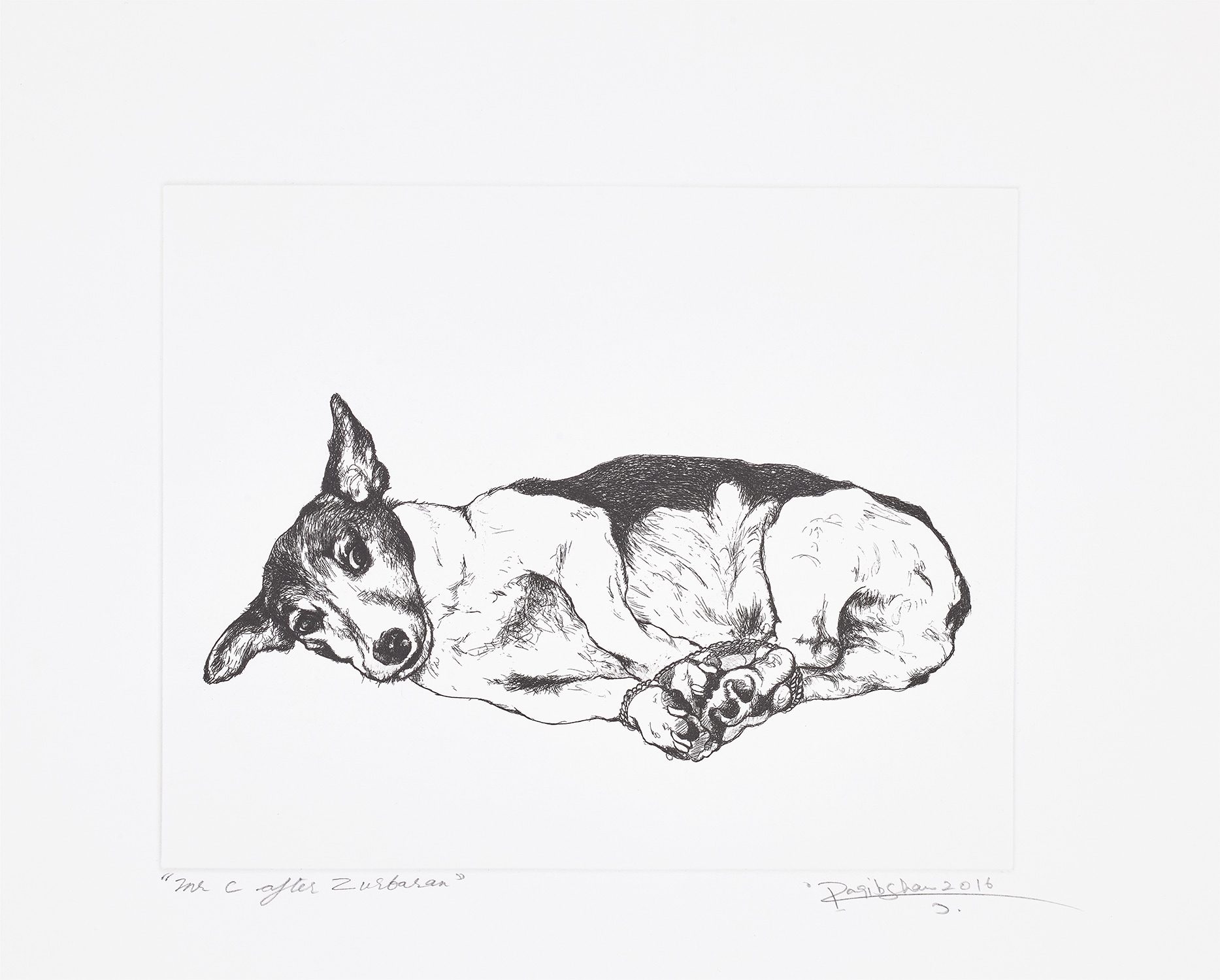 Mr. C after Zurbaran