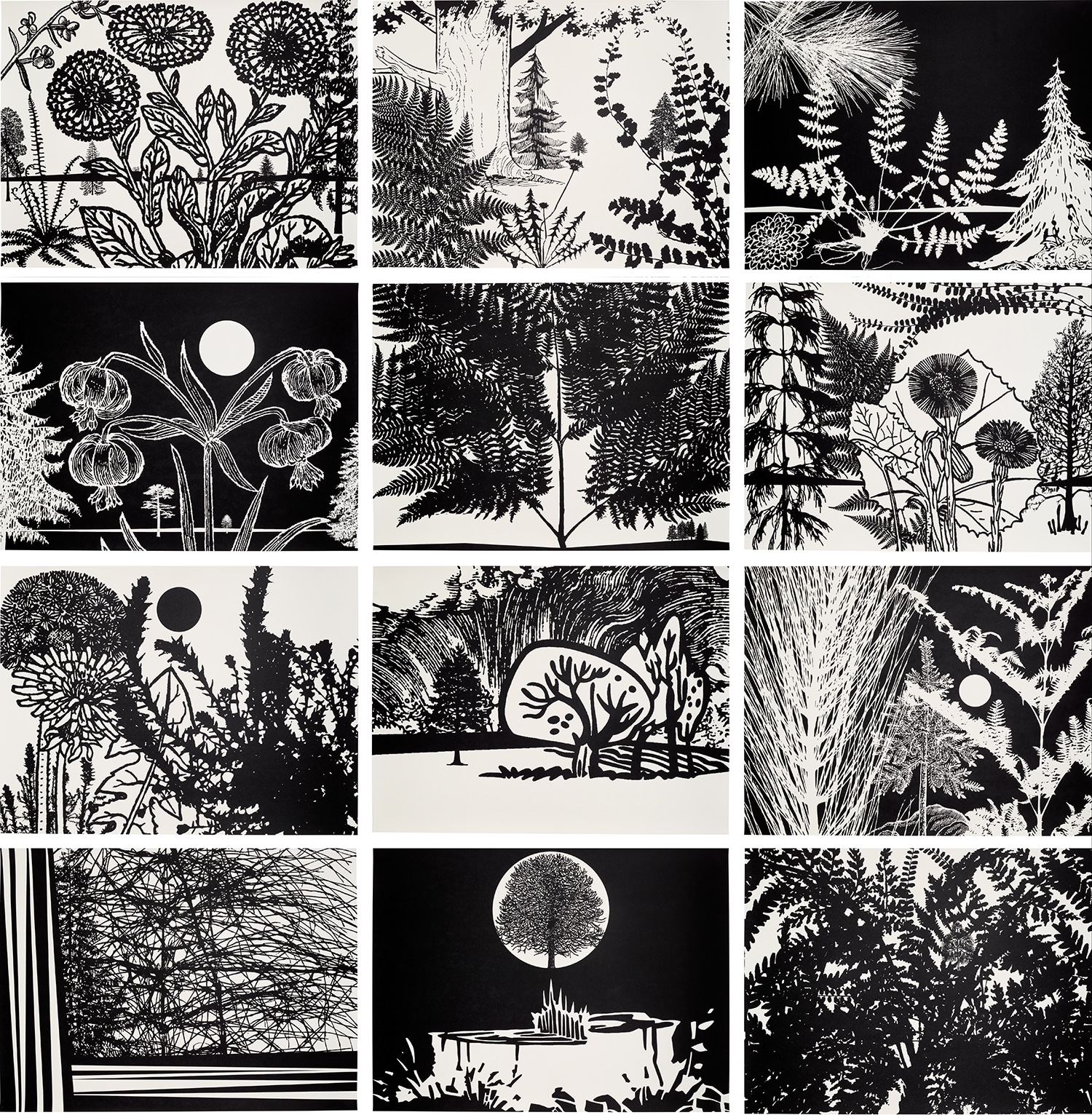 Paul Morrison — Black Dahlias