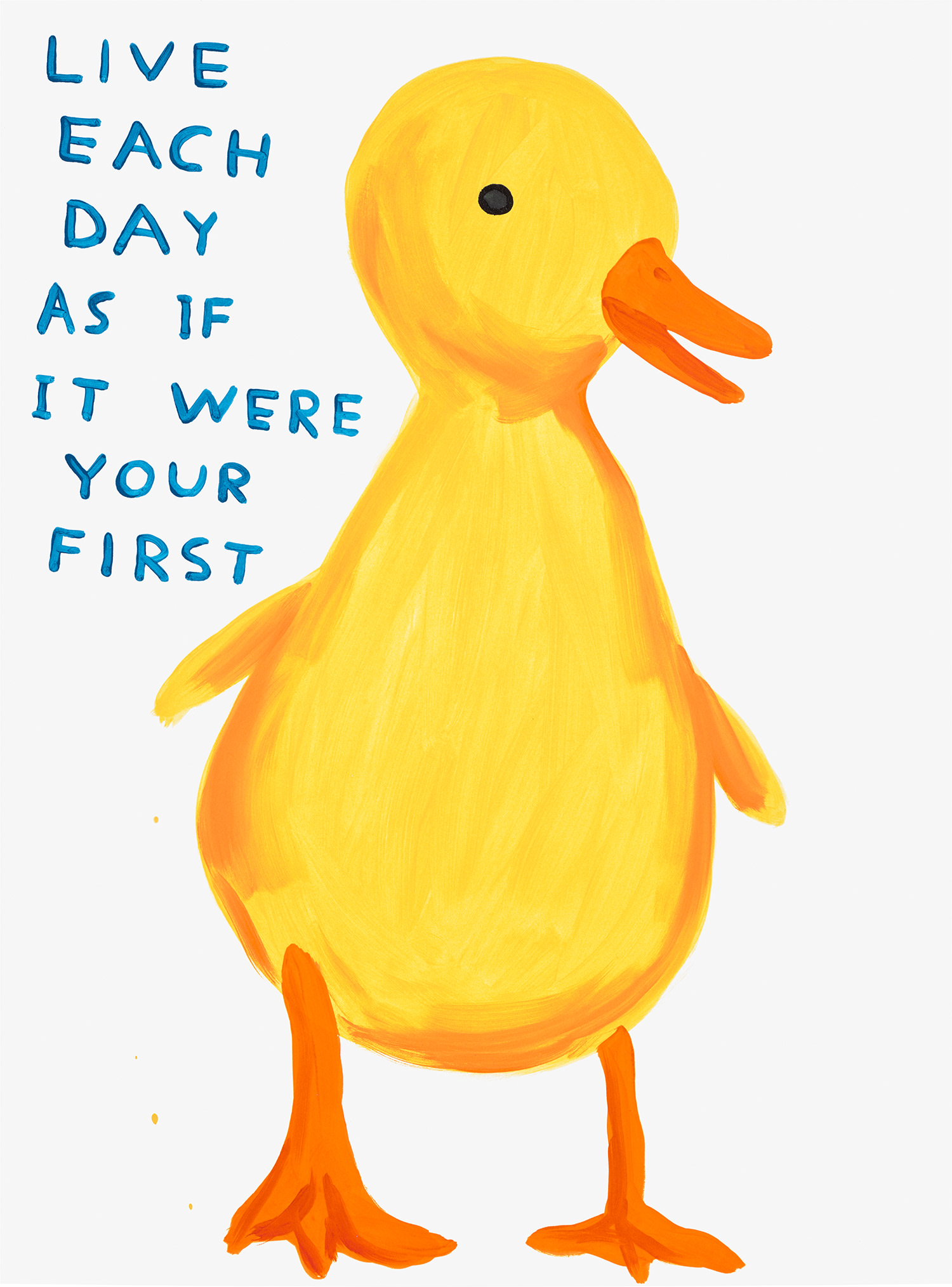 David Shrigley — Live Each Day As If It Were Your First