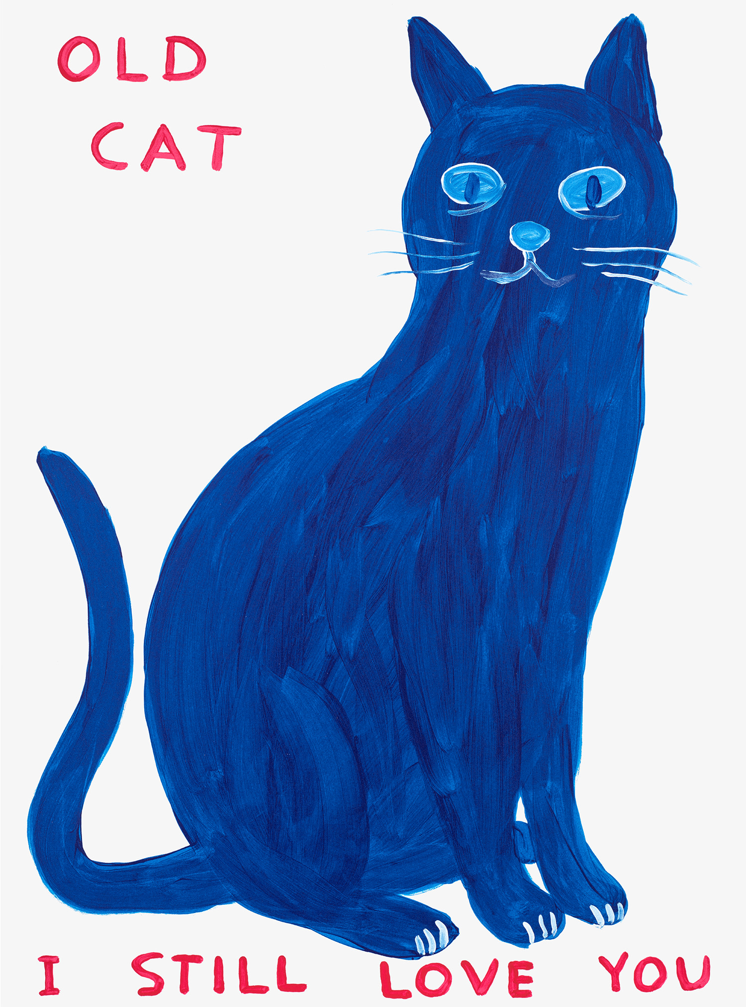 David Shrigley — Old Cat