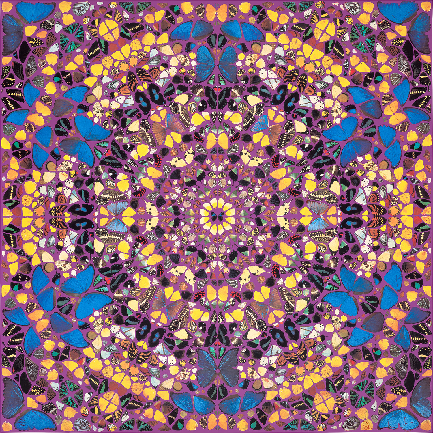 Damien Hirst — Notre Dame, from Cathedral Series