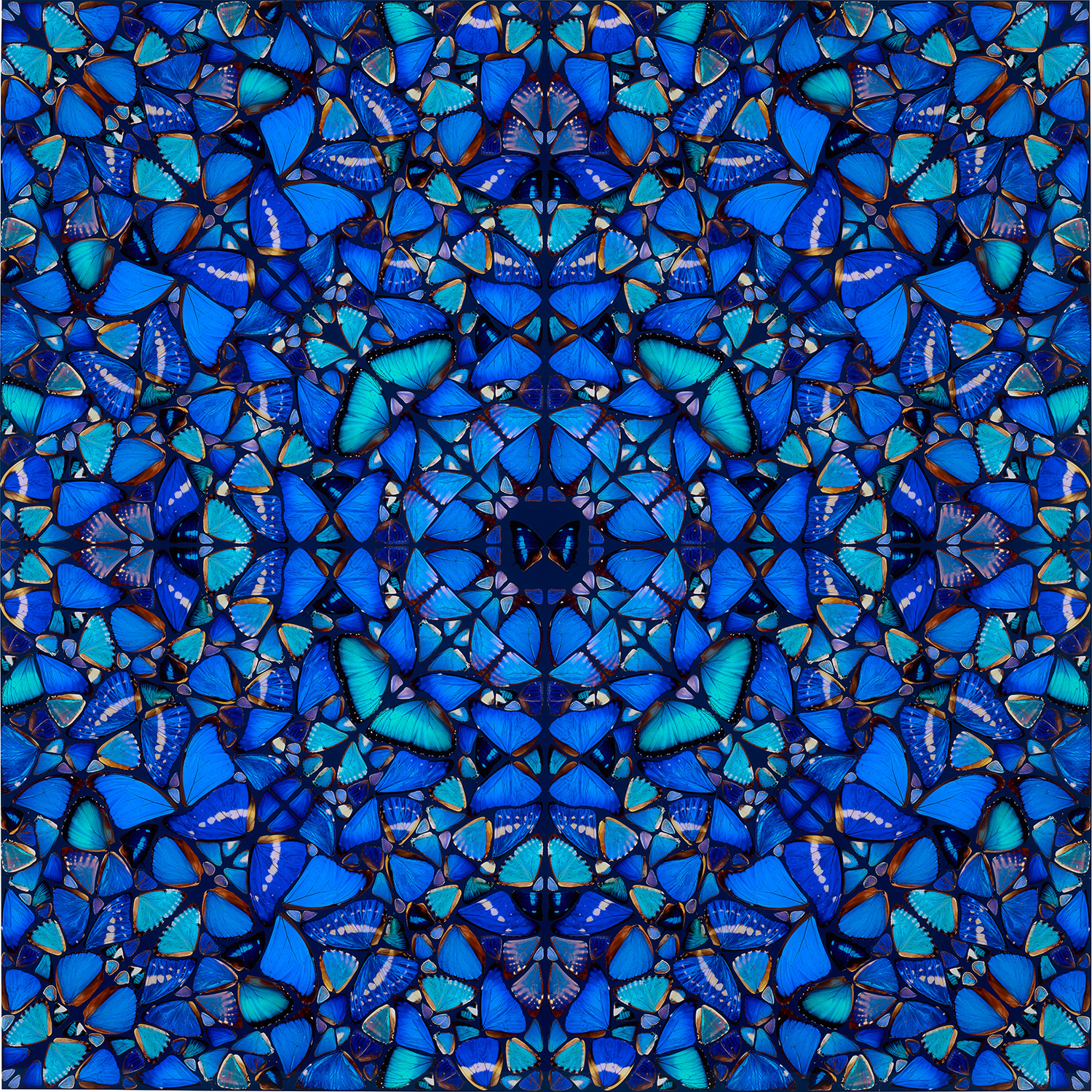 Damien Hirst — Patience, from The Aspects (H6-3)