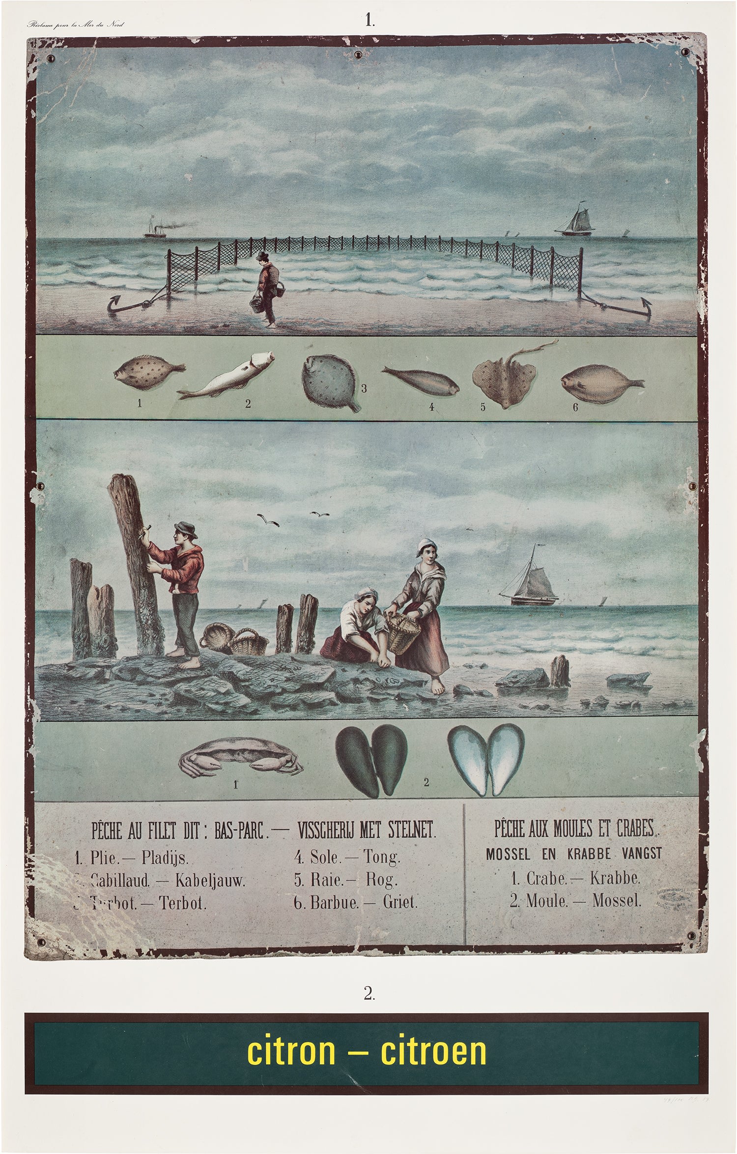 Citron – Citroen (Réclame pour la Mer du Nord) (Lemon – Lemon (Ad for the North Sea)) (V. 19)