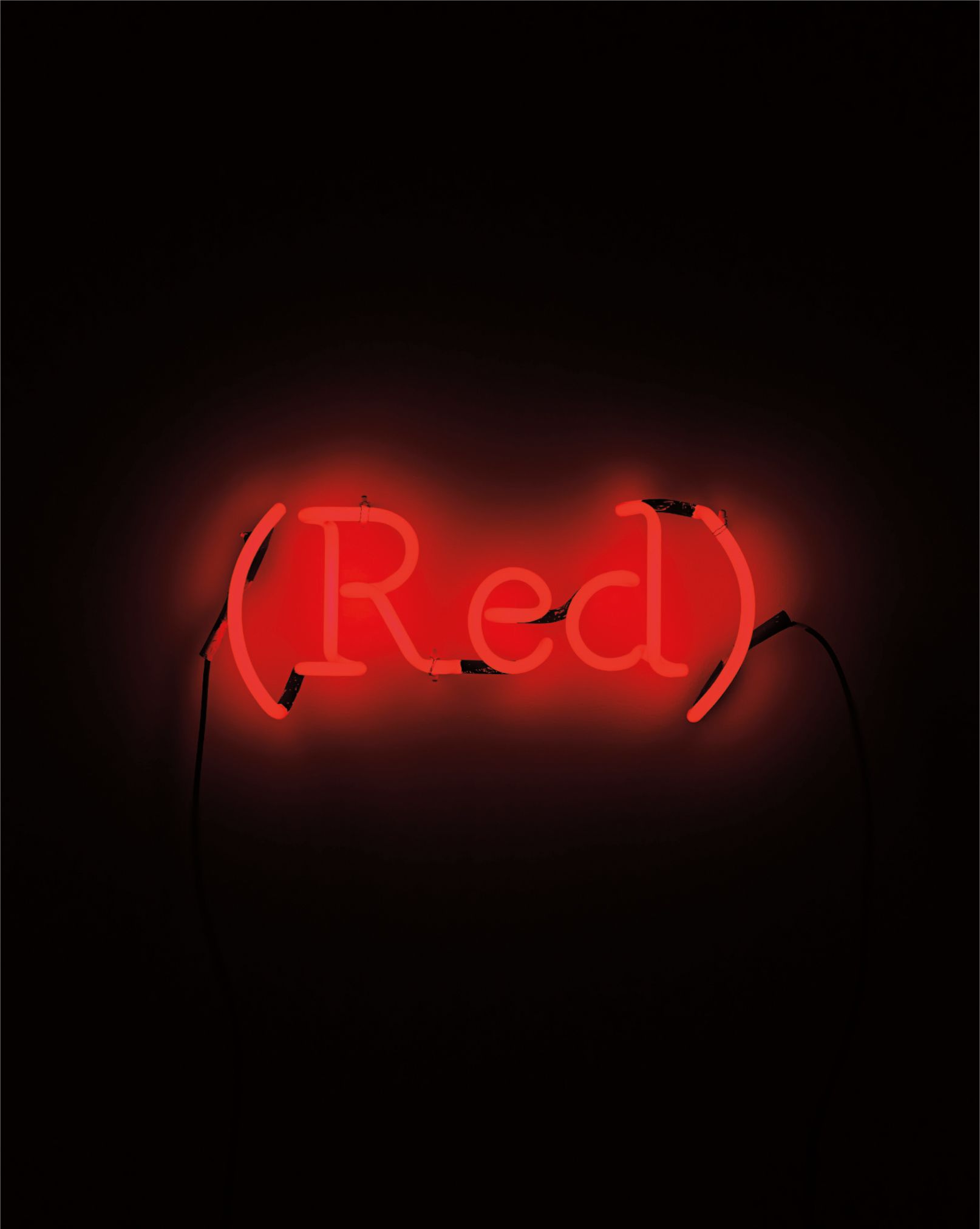 Joseph Kosuth — Wittgenstein's Colour