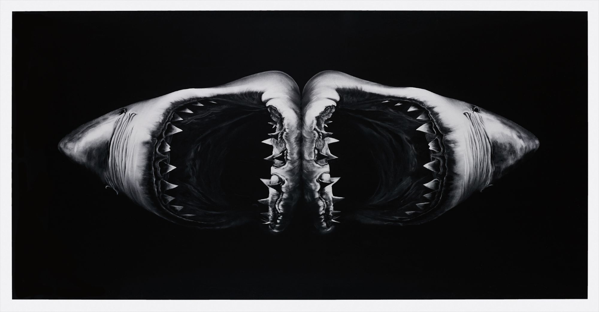 Robert Longo — Double Shark
