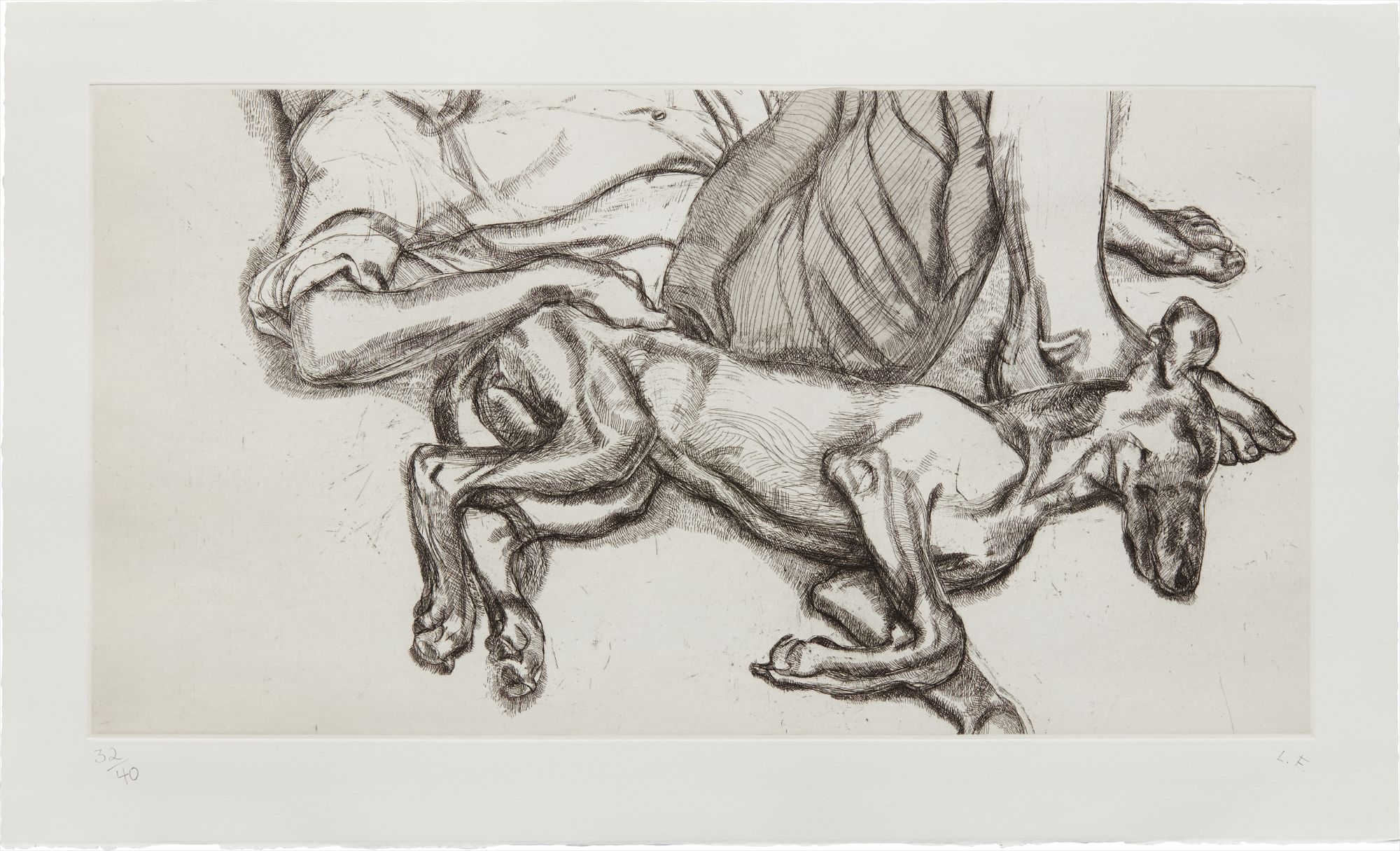 Lucian Freud — Pluto