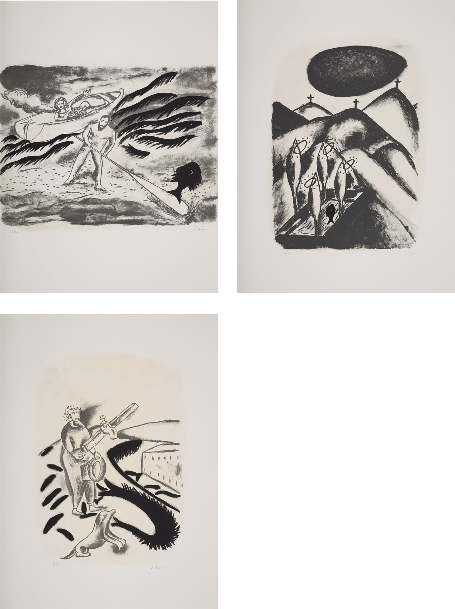 Immagine Feroce (Fierce Image)