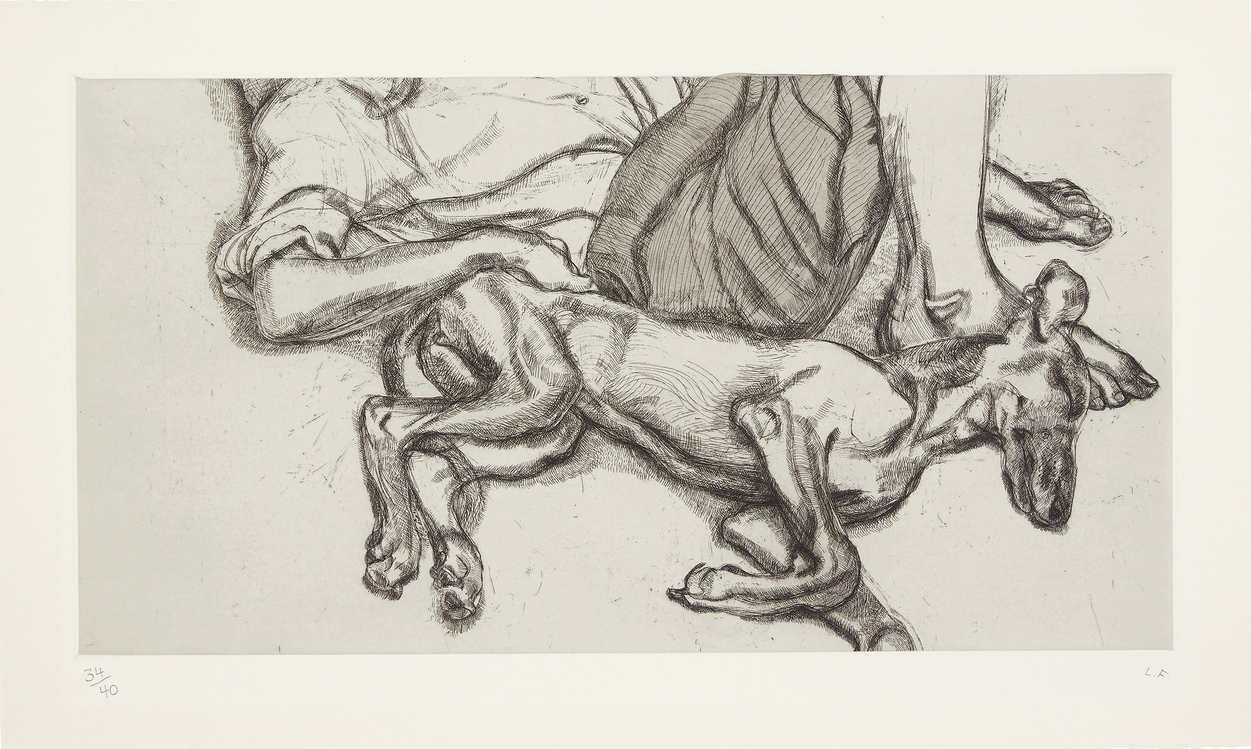 Lucian Freud — Pluto (H. 37)