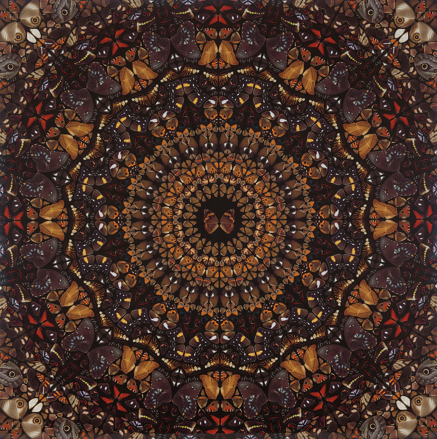 Damien Hirst — Earth, from The Elements (H6-6)