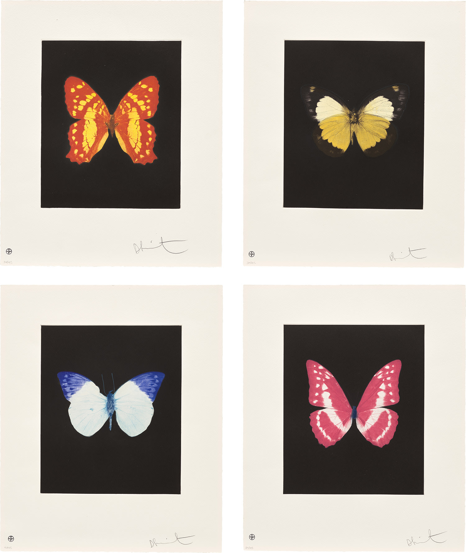 Damien Hirst — Butterfly Etchings: four plates