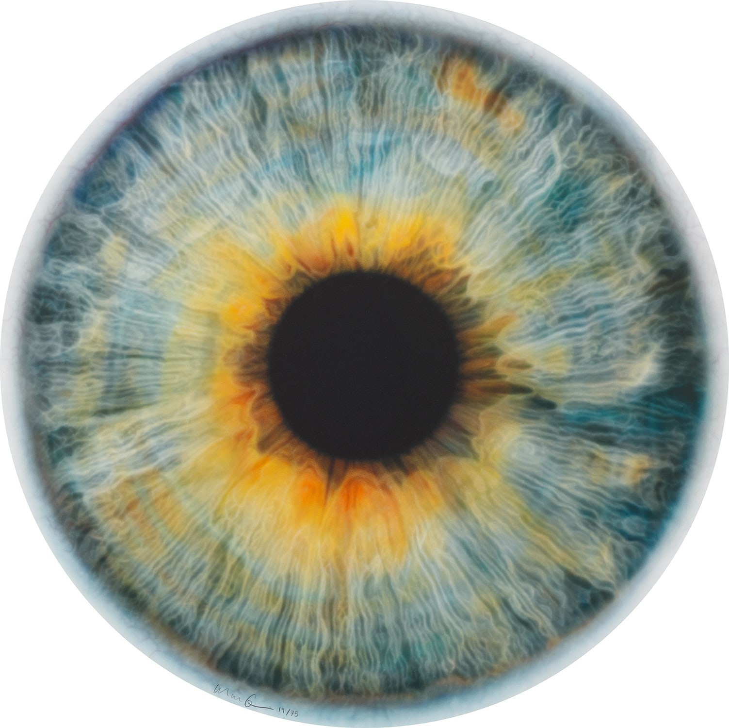 Marc Quinn — Chromosphere