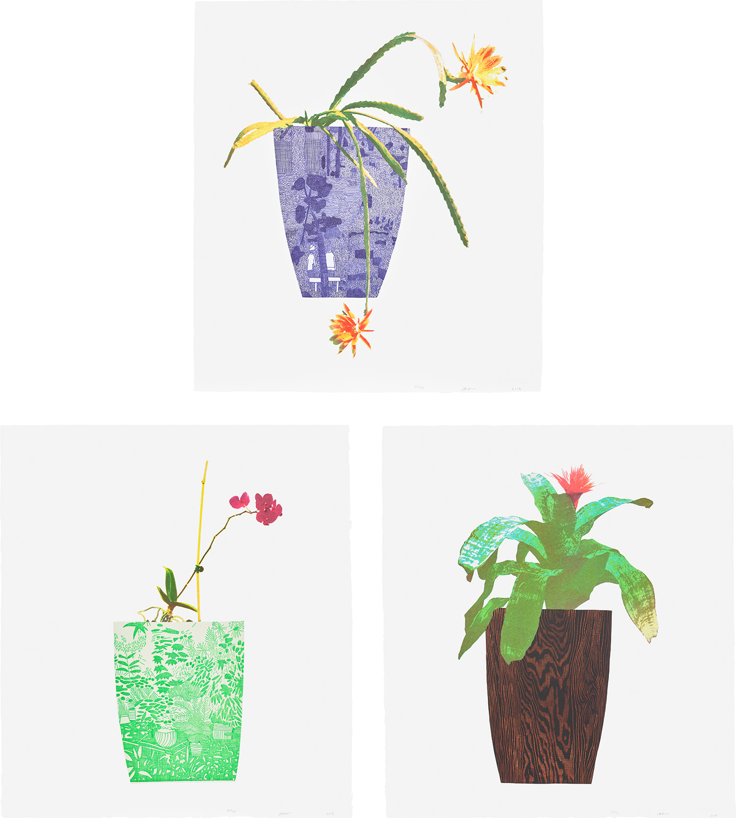 Jonas Wood — Three Landscape Pots: Night Bloom, Orchid, and Bromeliad