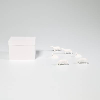 Schafe und Weißer Pappkarton (Sheep and White Cardboard Box)