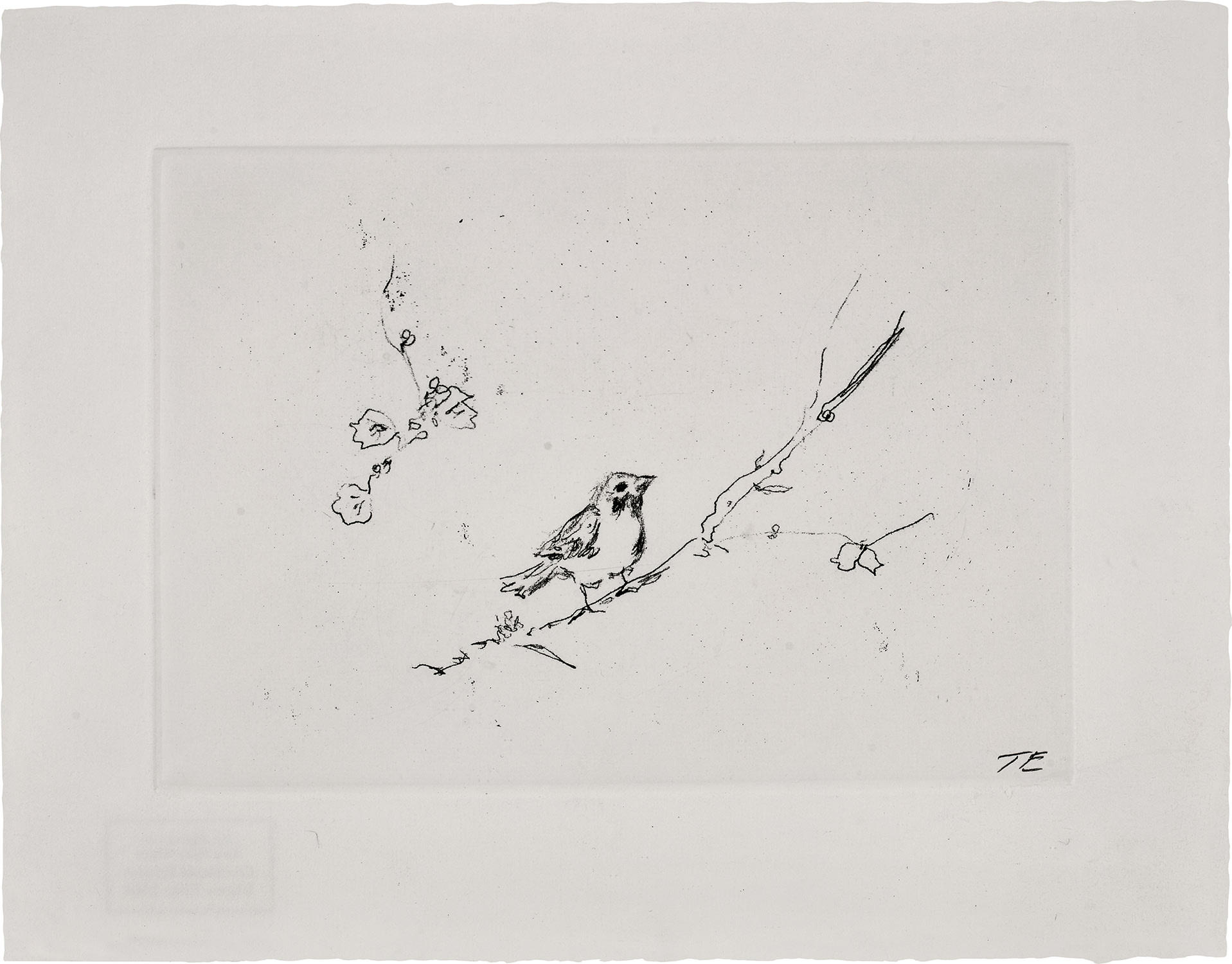 Tracey Emin — Sam and Jay's birds