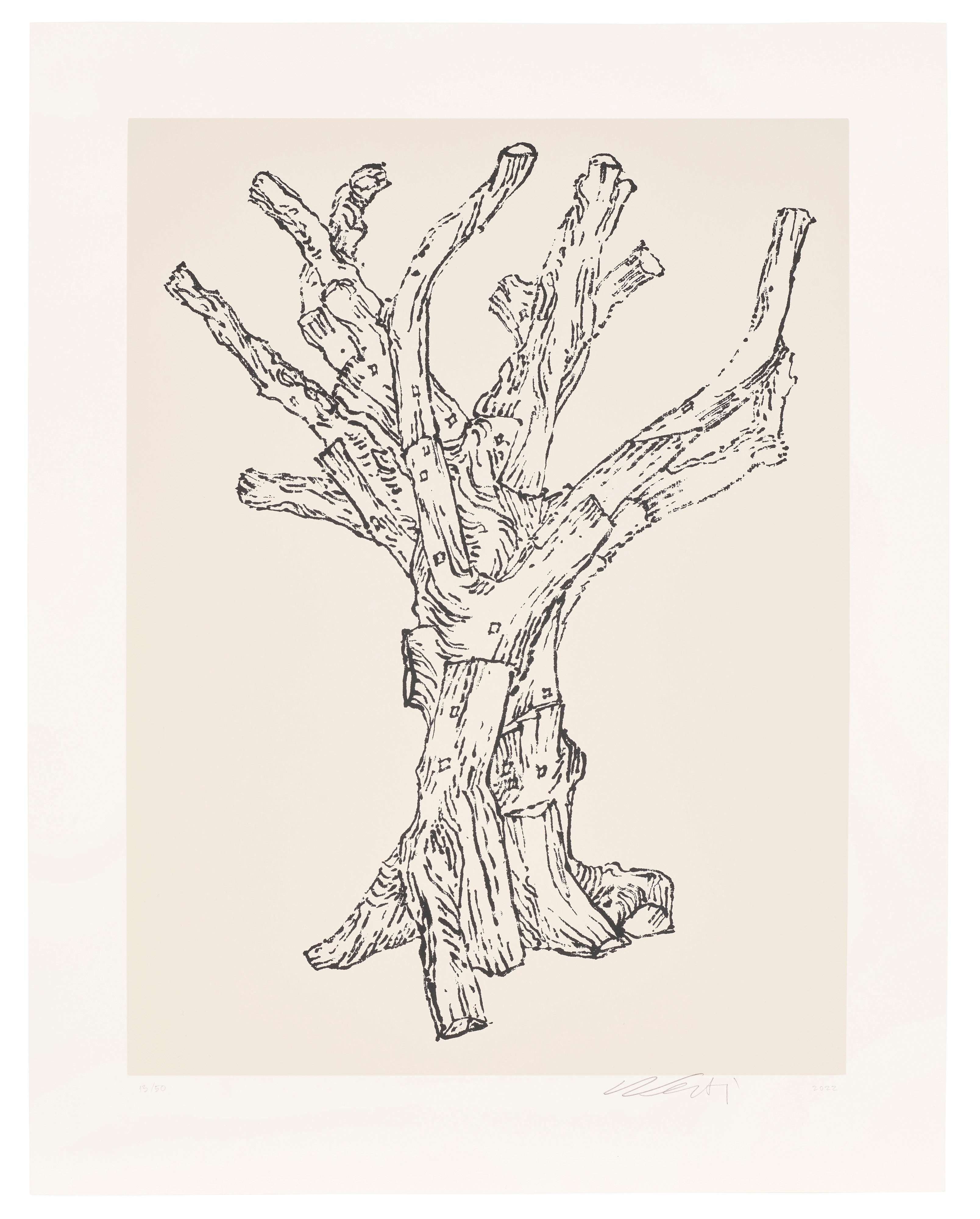 Ai Weiwei — Cedar (Large)