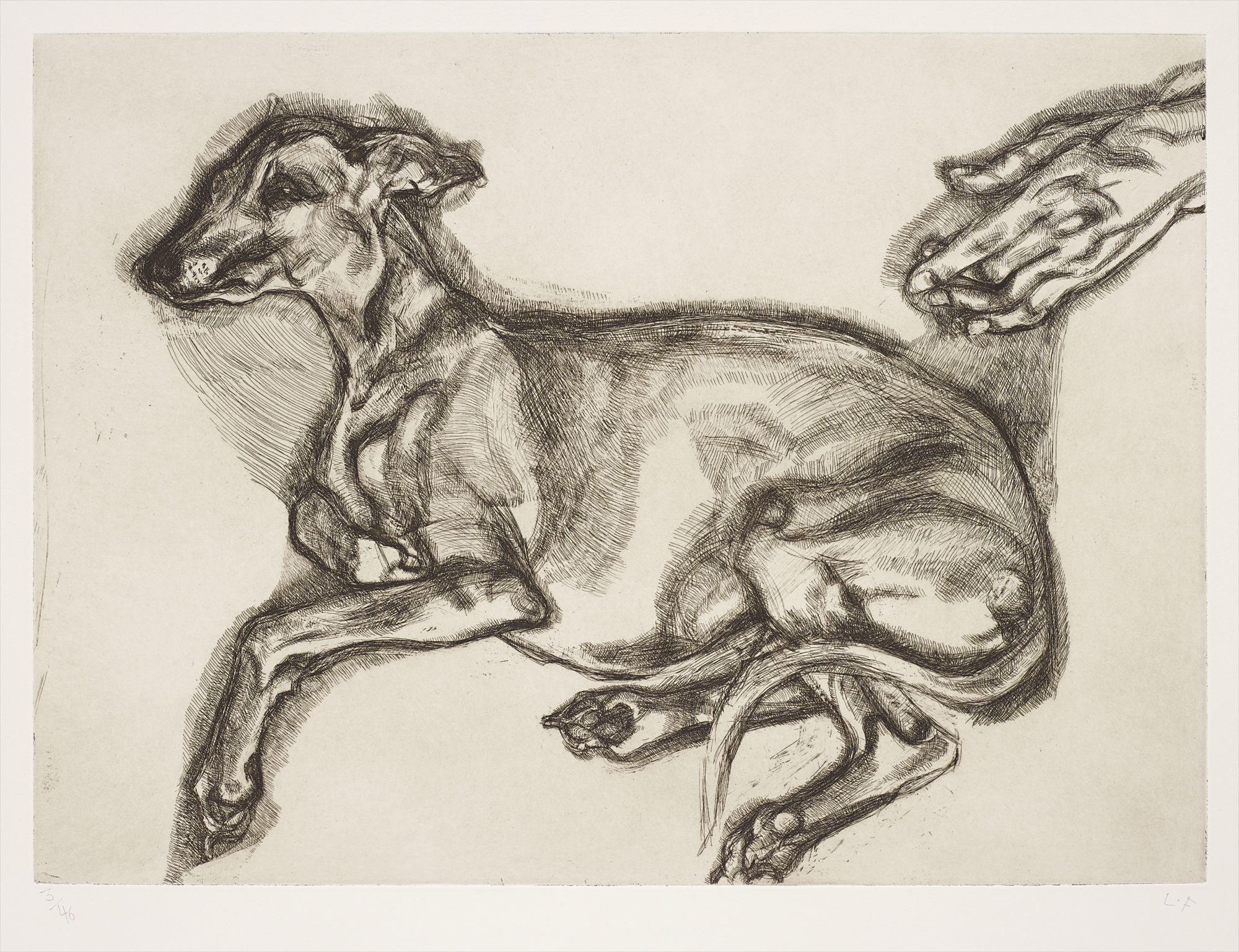 Lucian Freud — Pluto Aged Twelve
