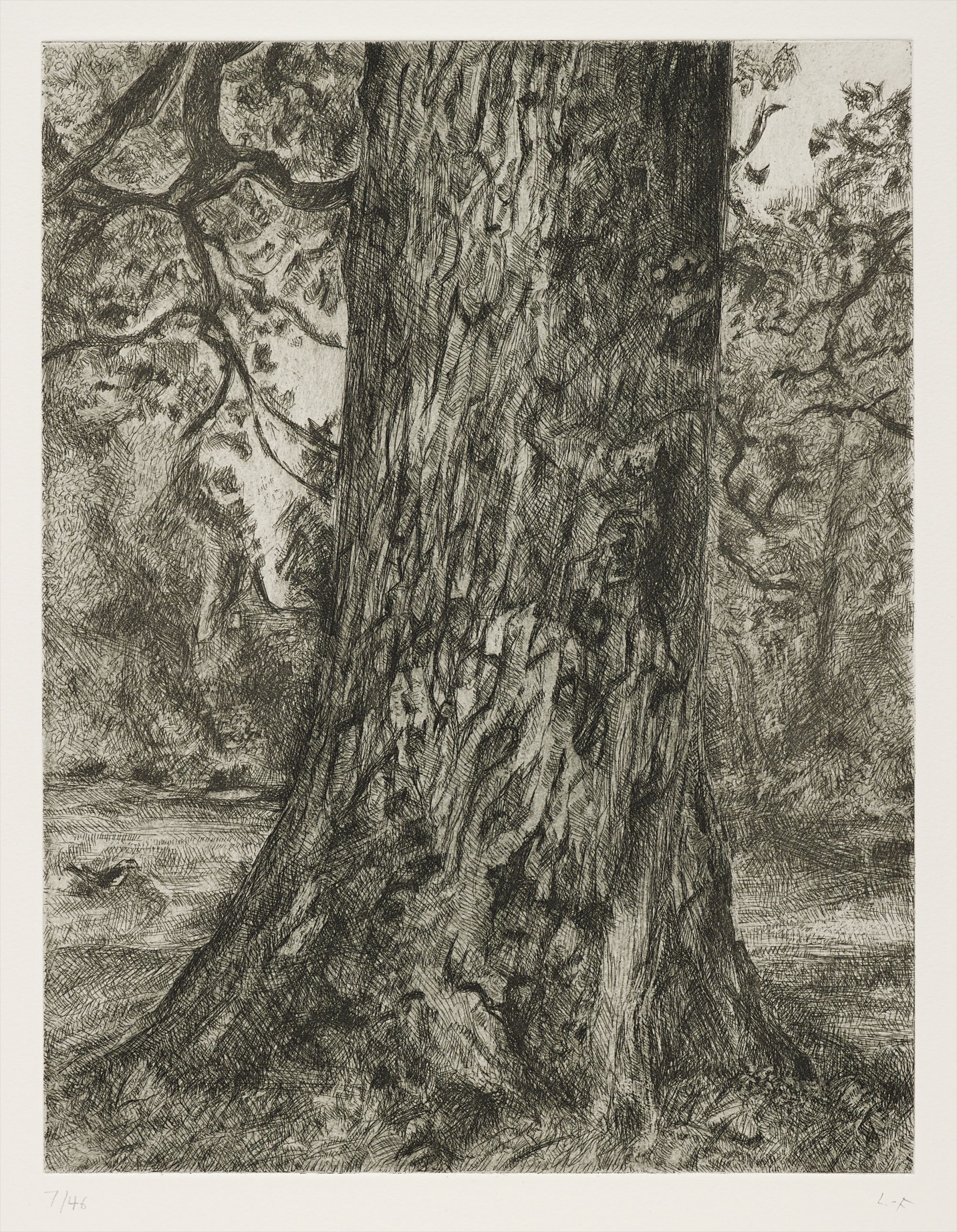 Lucian Freud — After Constable's Elm