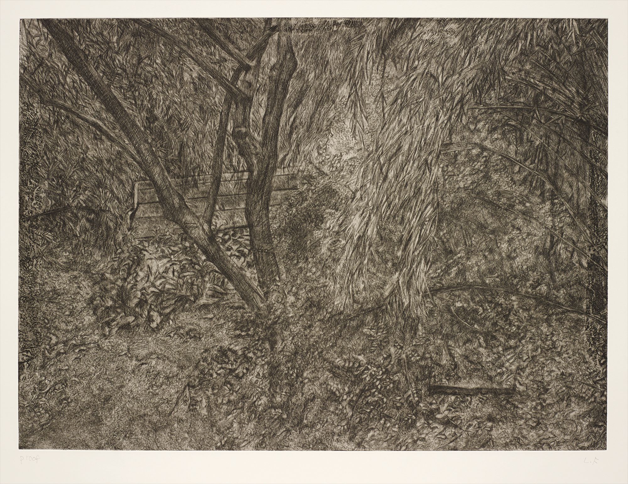 The Painter's Garden