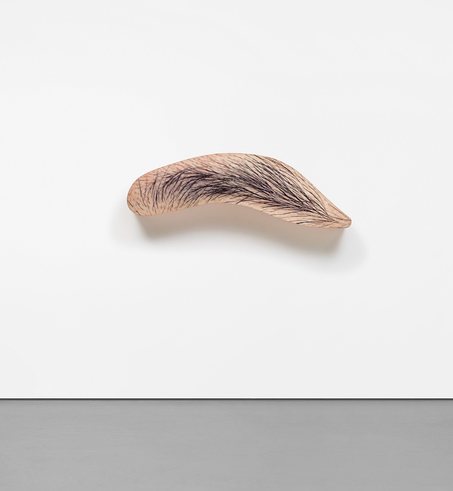 John Baldessari — Eyebrow