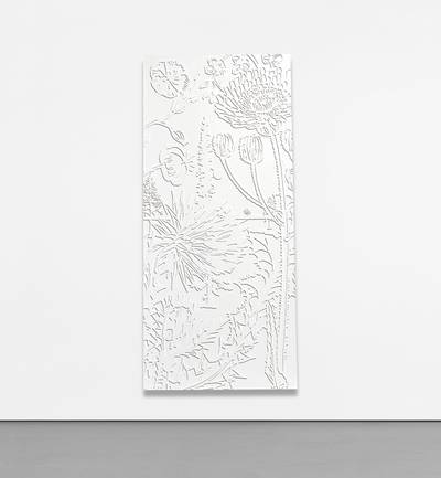 Hilum, from Door Cycle