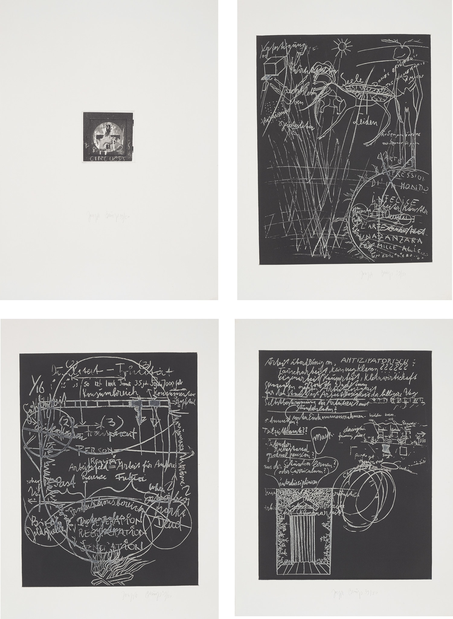 Joseph Beuys — L'Arte è una zanzara dalle mille ali (Art is a thousand-winged mosquito) (S. 395-398)