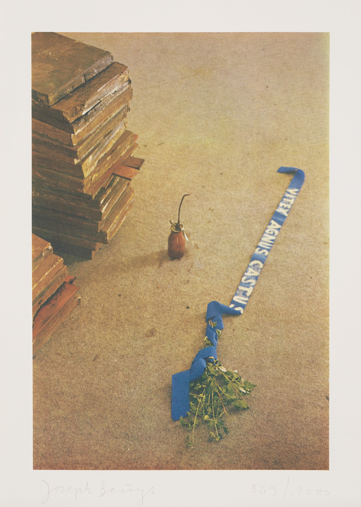 Joseph Beuys — Vitex Agnus Castus (S. 73)