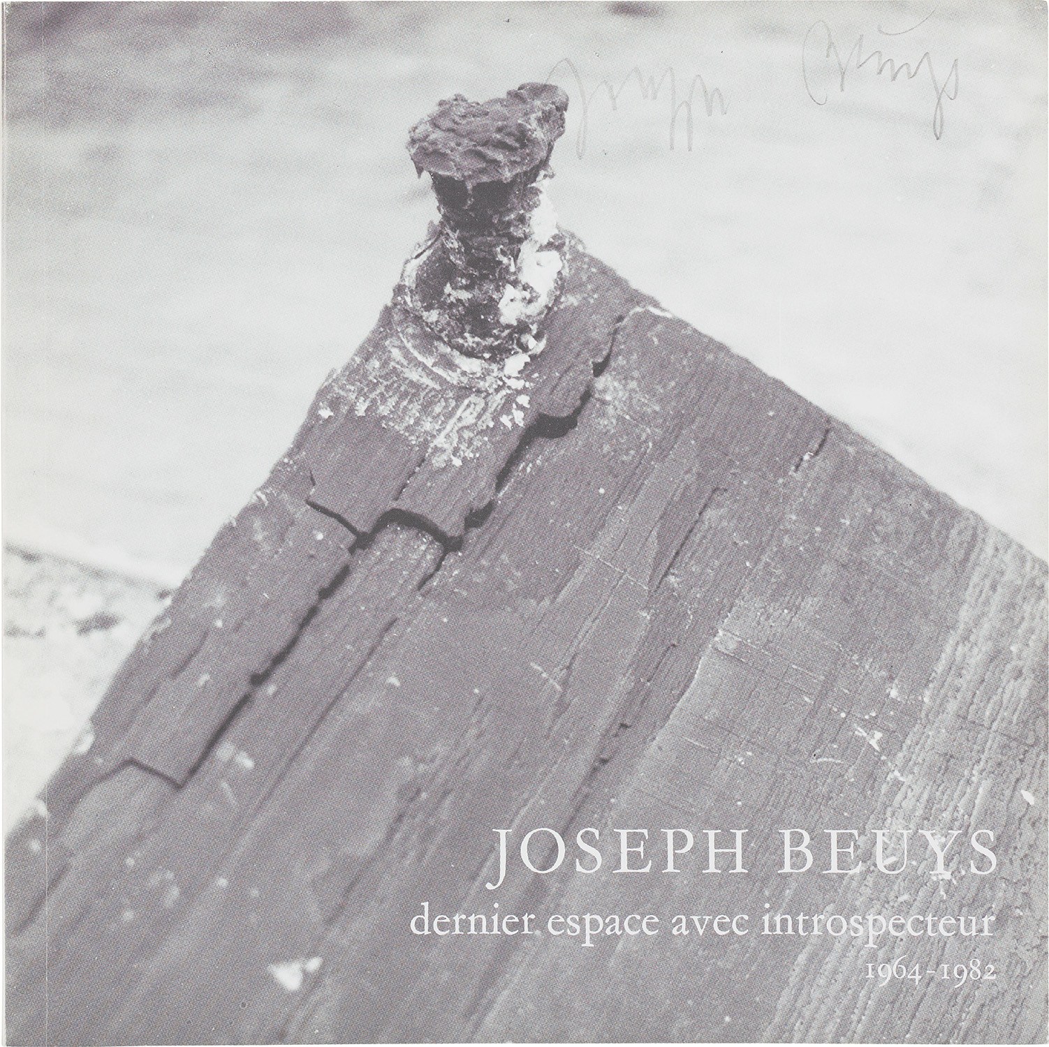 Joseph Beuys — Joseph Beuys: dernier espace avec introspecteur 1964-1982: two books
