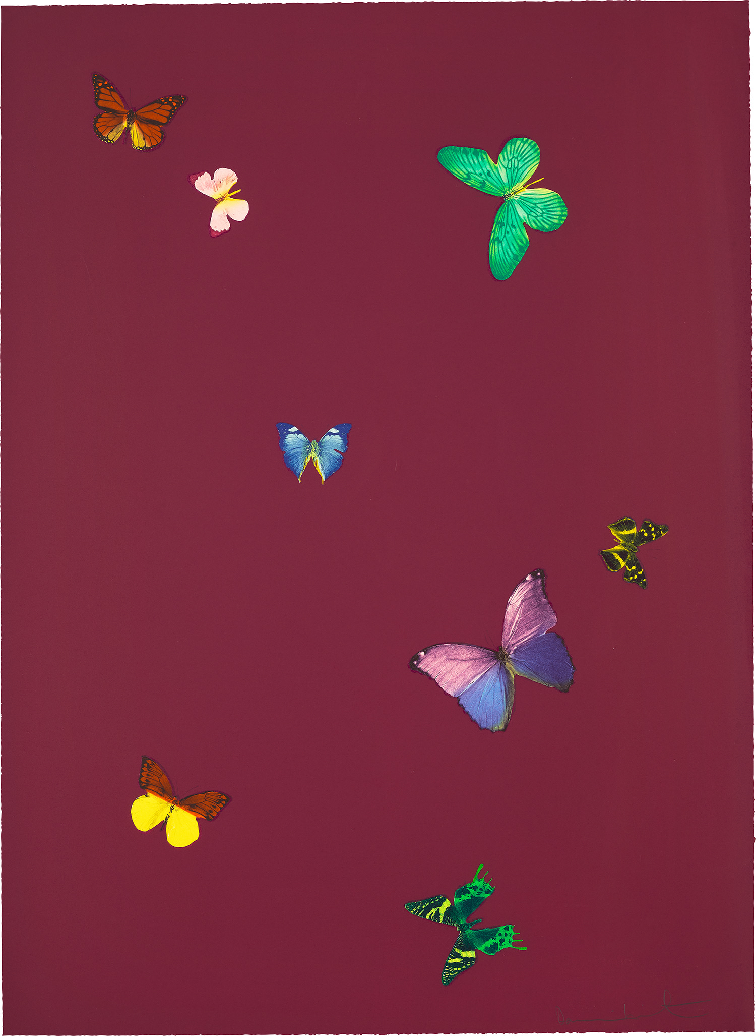 Damien Hirst — Your Smell, from The Wonder of You