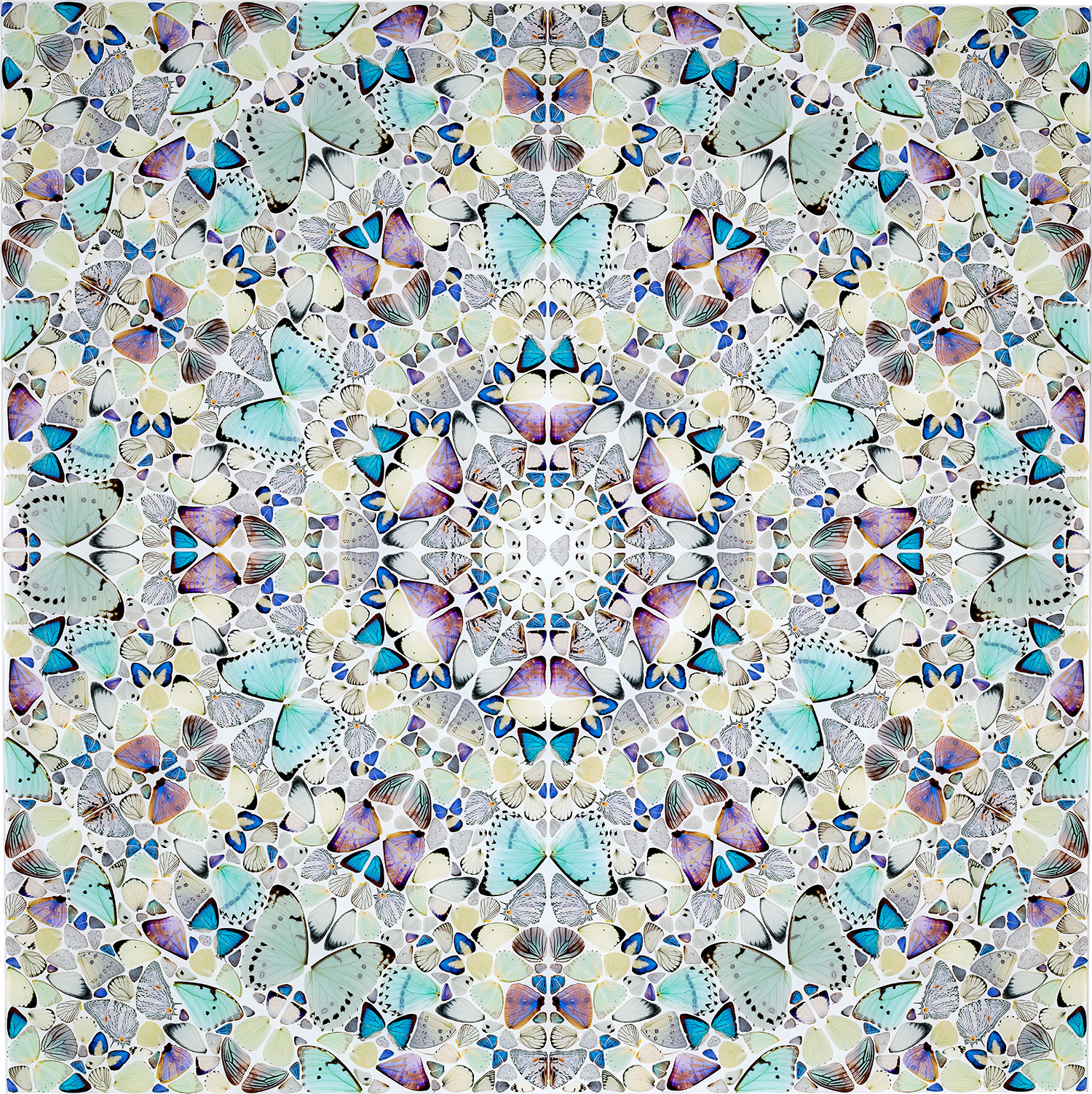 Damien Hirst — Air, from The Elements (H6-7)