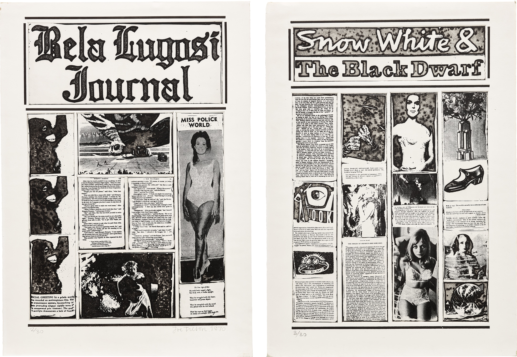 Joe Tilson — Bela Lugosi Journal II; and Snow White and the Black Dwarf