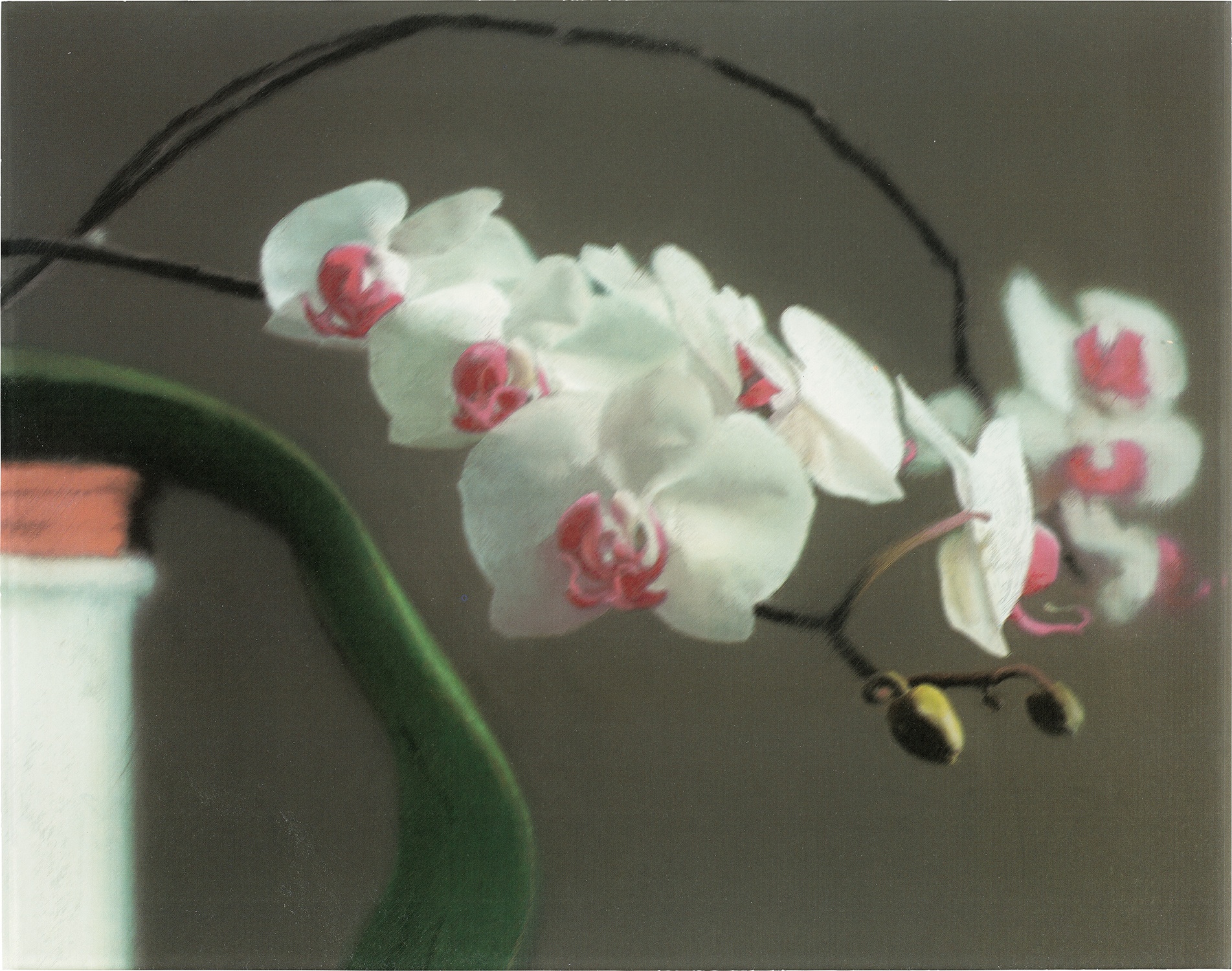 Orchidee II (Orchid II) (B. 103)