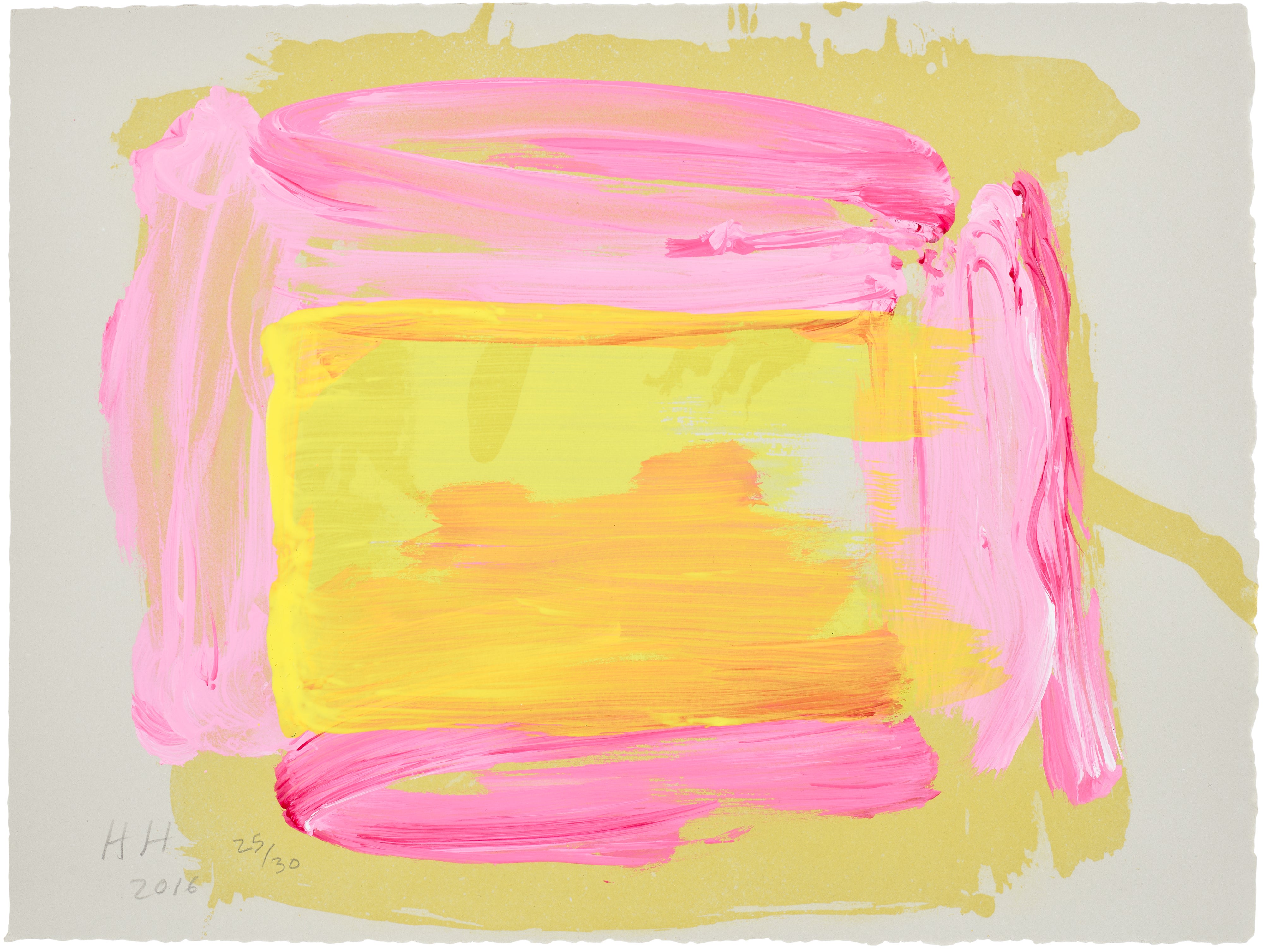 Howard Hodgkin — A Pale Reflection