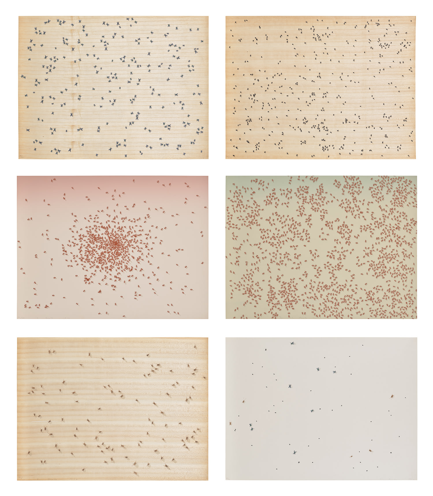 Ed Ruscha — Insects (E. 60-65)