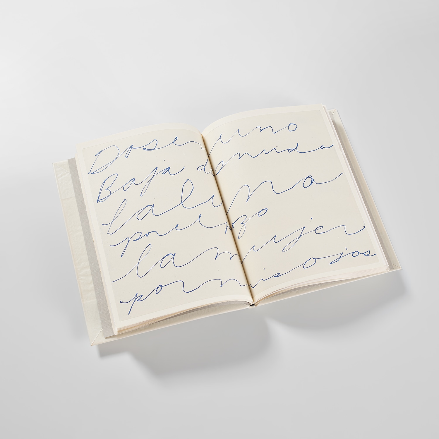 Cy Twombly — Octavio Paz Eight Poems - Cy Twombly Ten Drawings (see B. 80-83)