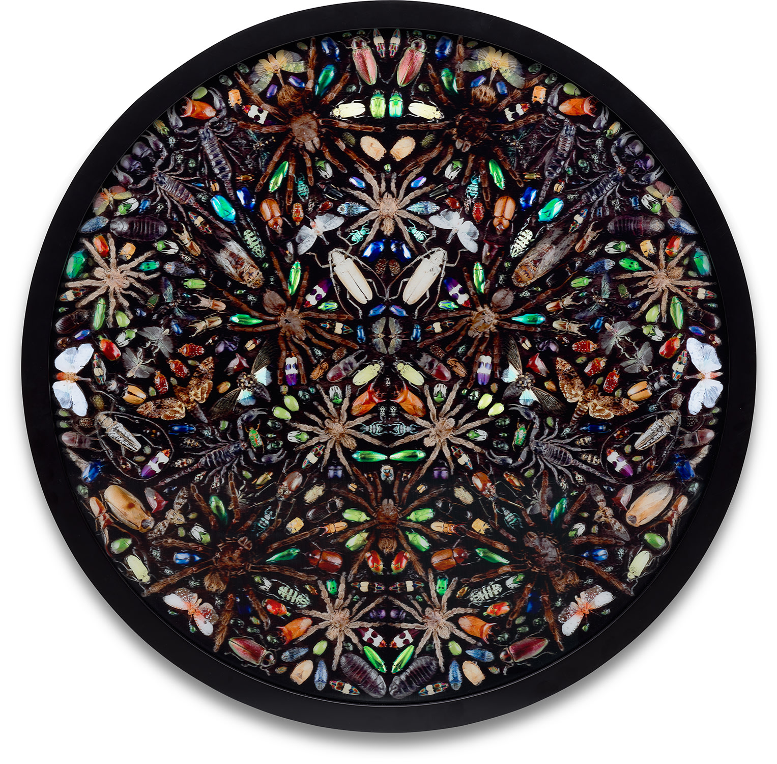 Damien Hirst — Phlegyas