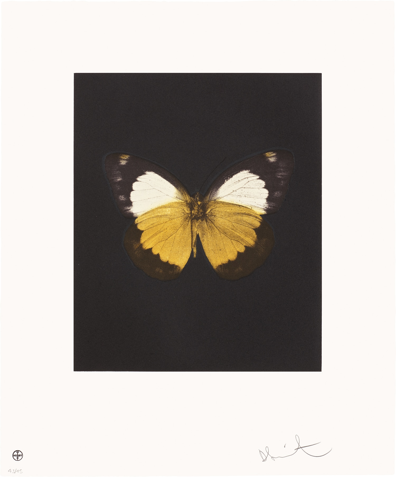 Damien Hirst — Reveal, from Butterfly Etchings