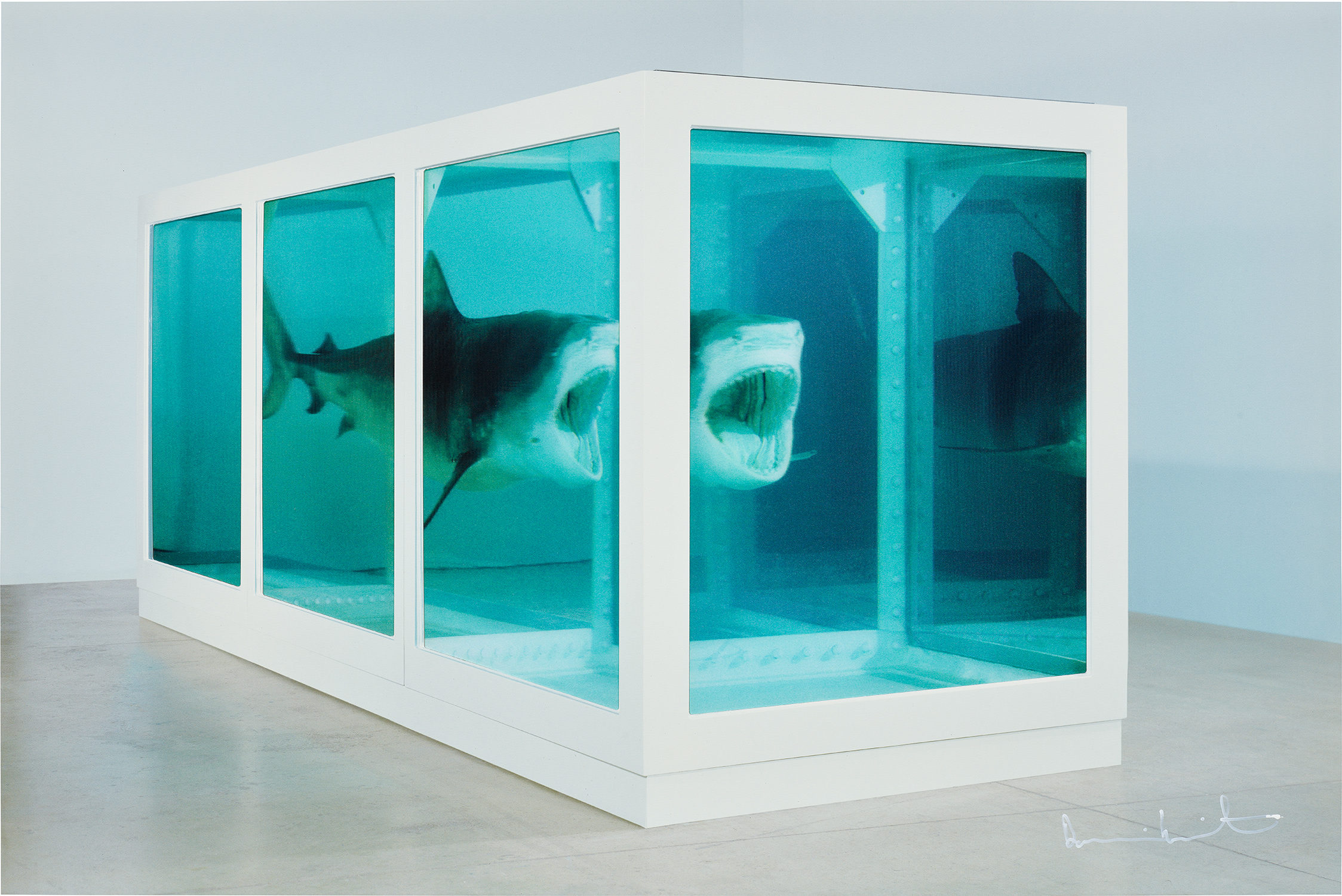 Damien Hirst — The Physical Impossibility of Death in the Mind of Someone Living