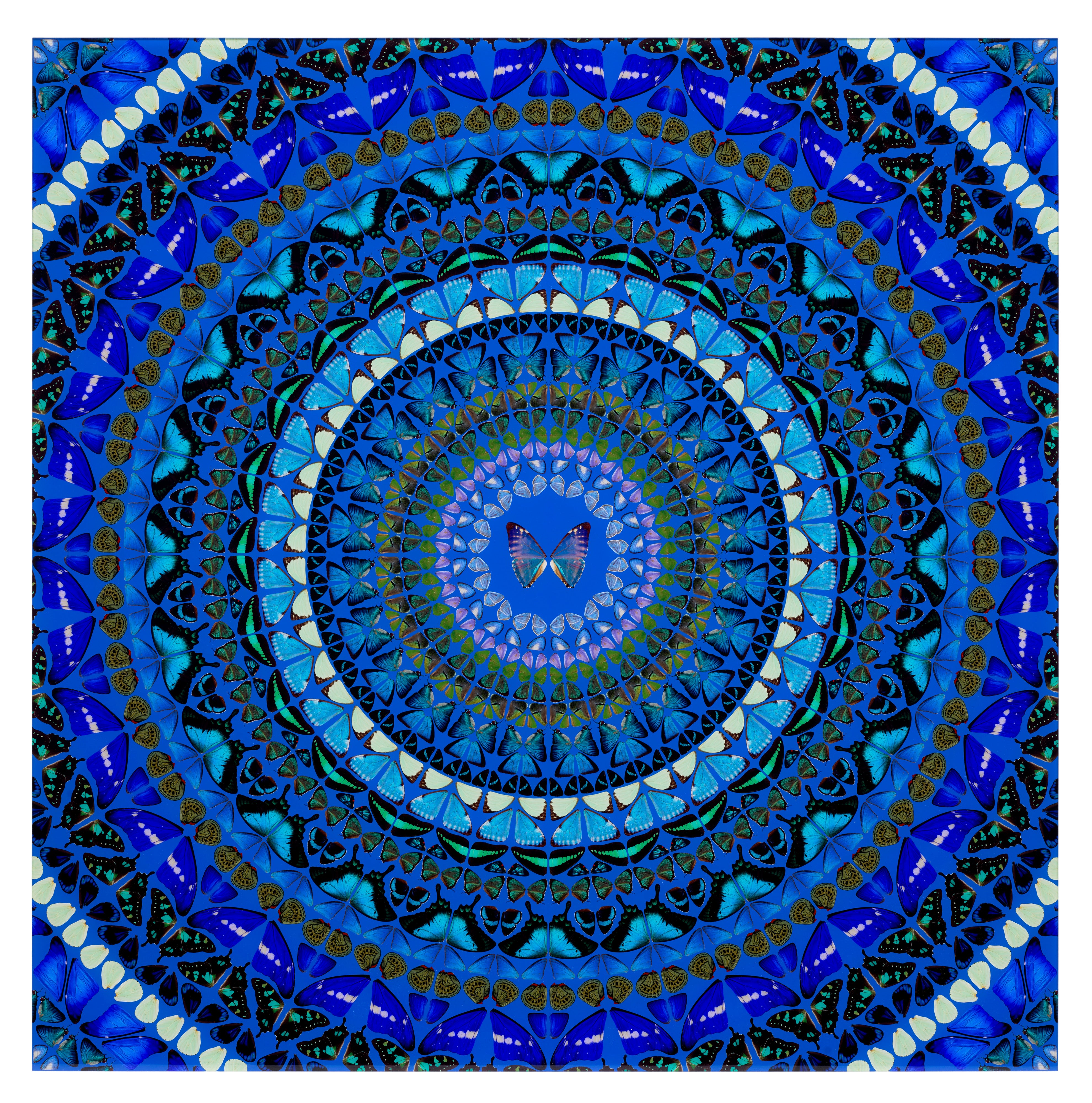 Damien Hirst — Water, from The Elements (H6-9)