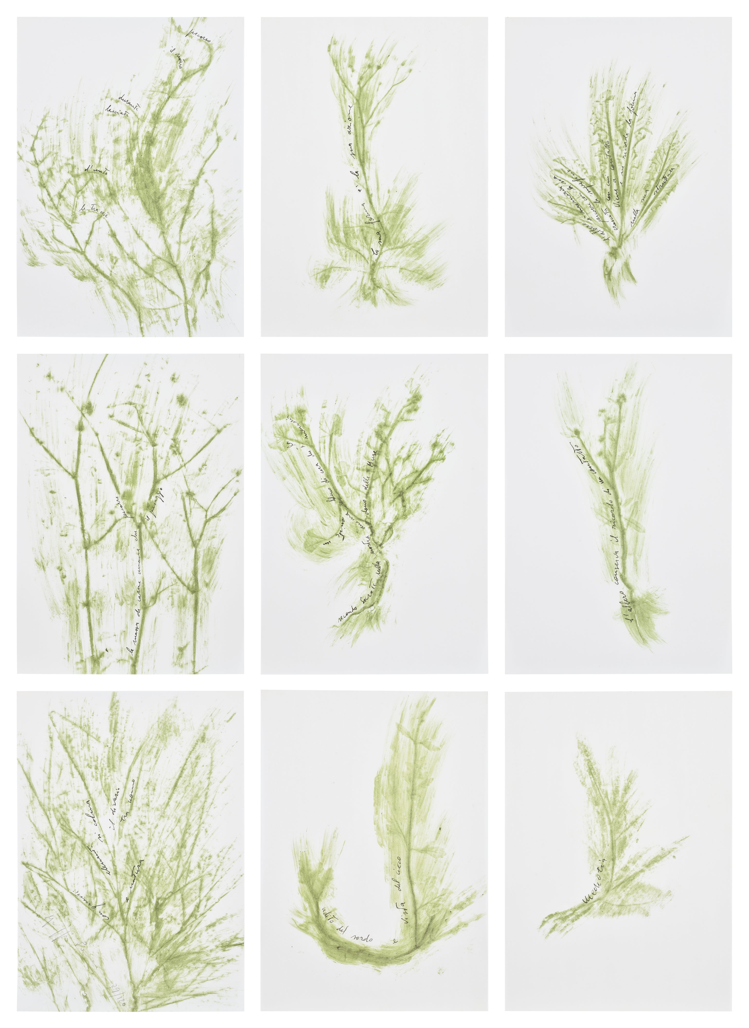 Giuseppe Penone — Trentatré erbe (Thirty-three Herbs)