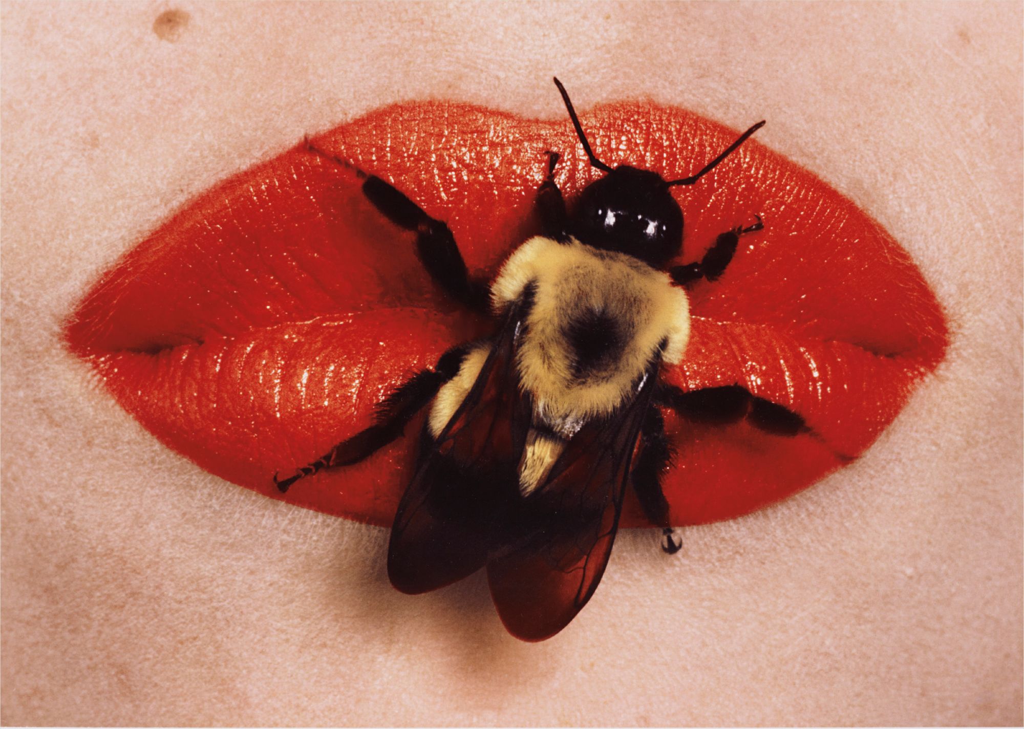 Irving Penn — Bee on Lips, New York, September 22