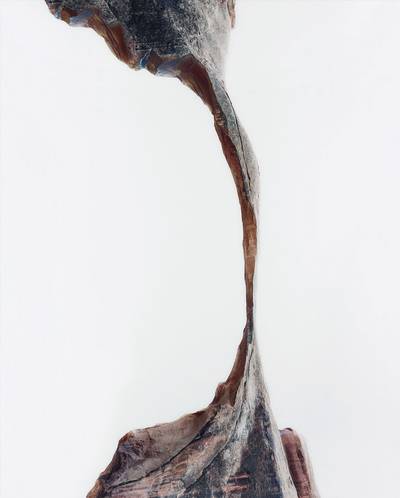 Landschaft (Landscape) 7/037