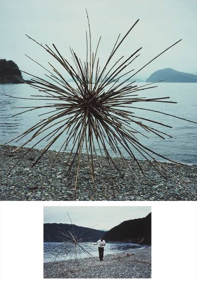 Andy Goldsworthy