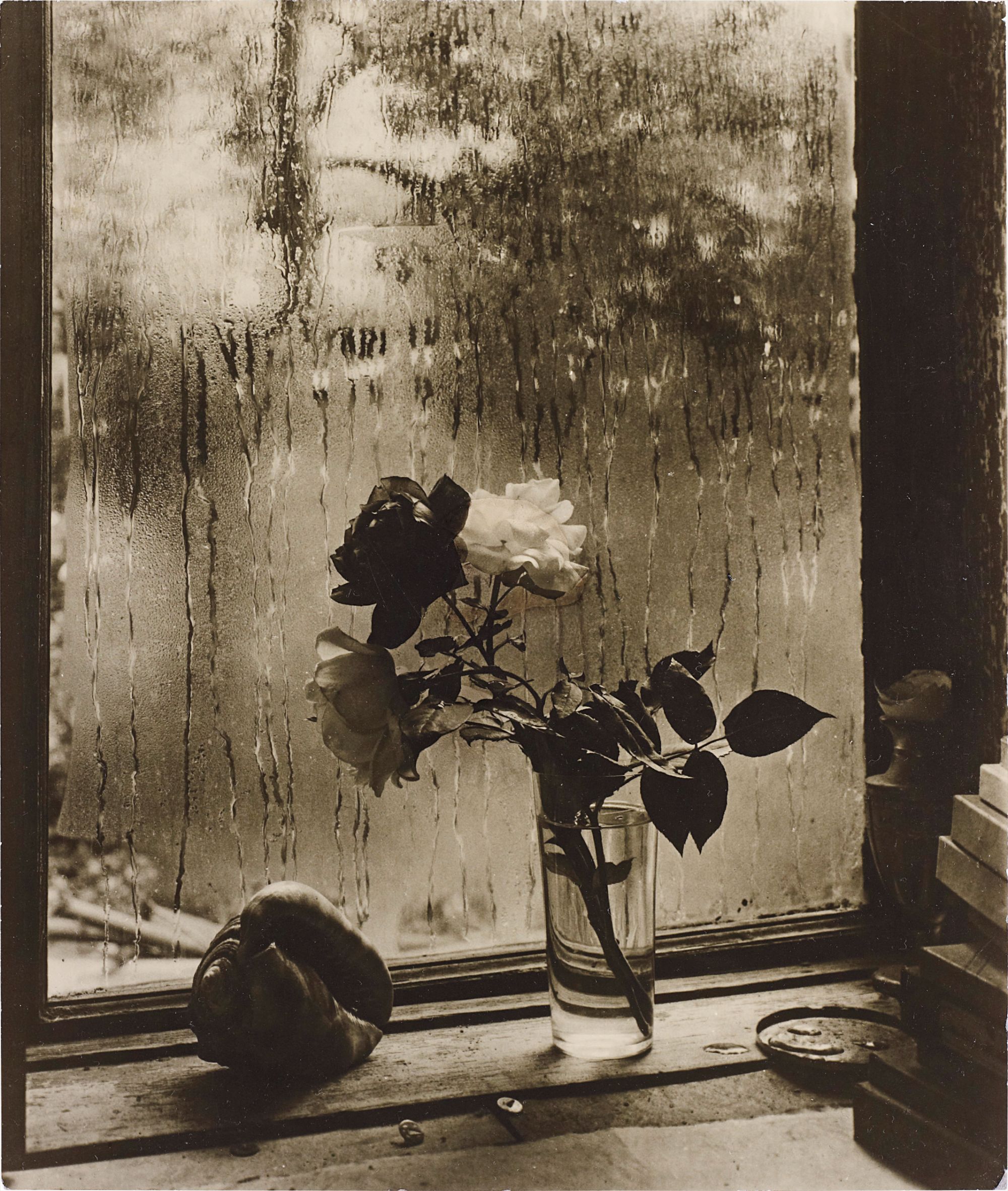 Josef Sudek — The Last Roses